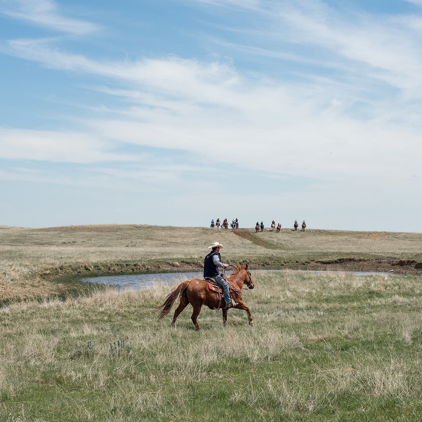 Another Bird branding came and went&hellip;It is crazy to me that my oldest son is now ready to help and eager to learn!  There have been so many seasons of branding. From packing babies to watching those same boys wrestle calves.  It makes me quite 