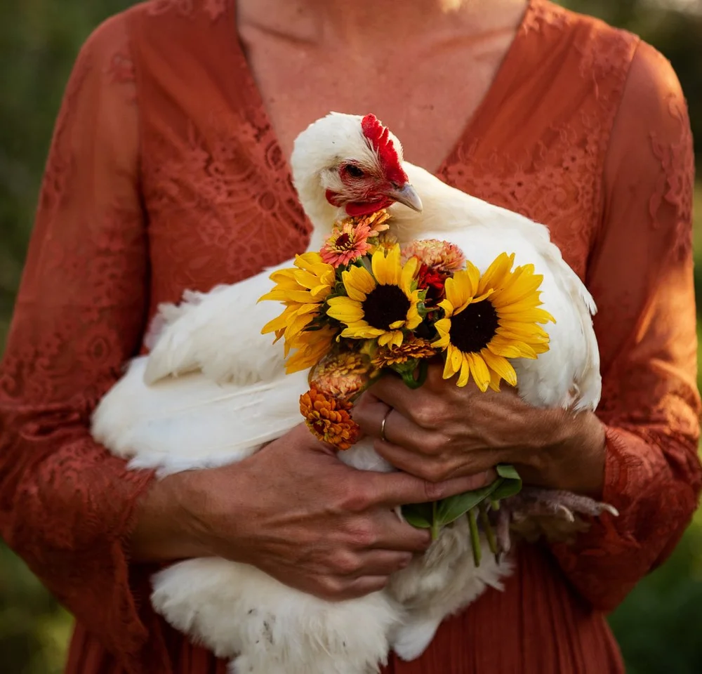 Top Six Things I’ve Learned About Raising Chickens — Whitney Out West