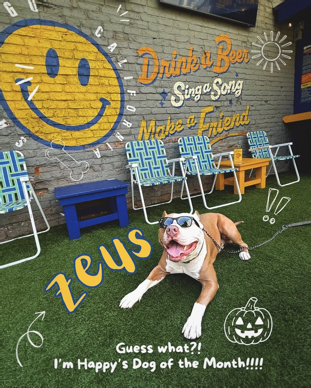 Zeus got the juice! Our spoOktacular Dog of the Month is the god of thunder & sky (and Happy)....ZEUS! 🐶👑⚡️ He is a downtown San Diego icon and we love when he stops by Happy on his walks to get pets, water and his pup cup!! Zeus is very much a