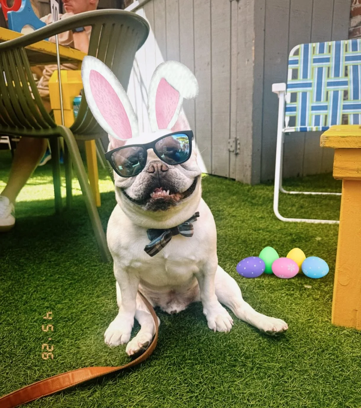 Easter bunny spotted at HOPPY Does!! 🐰🐥🥚🌷