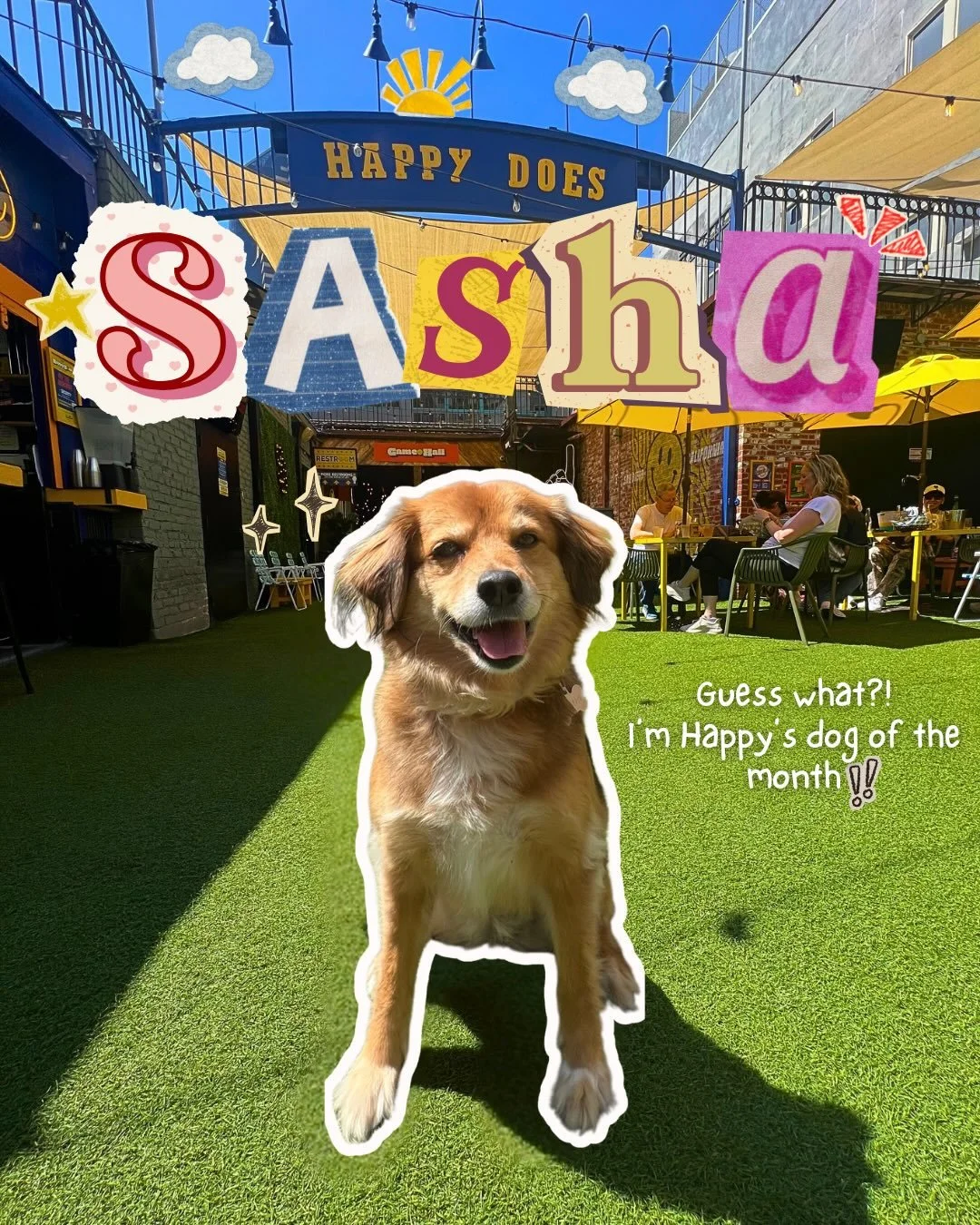 Oh my gosha, the Dog of the Month SASHA! 🐶🎀 And yes, she&rsquo;s fierce. This cutie is all the way from Puerto Rico. Her tricks include high fives, hugs and talking. Sasha is a sweet bb angel. Sasha gets a 1000/10
