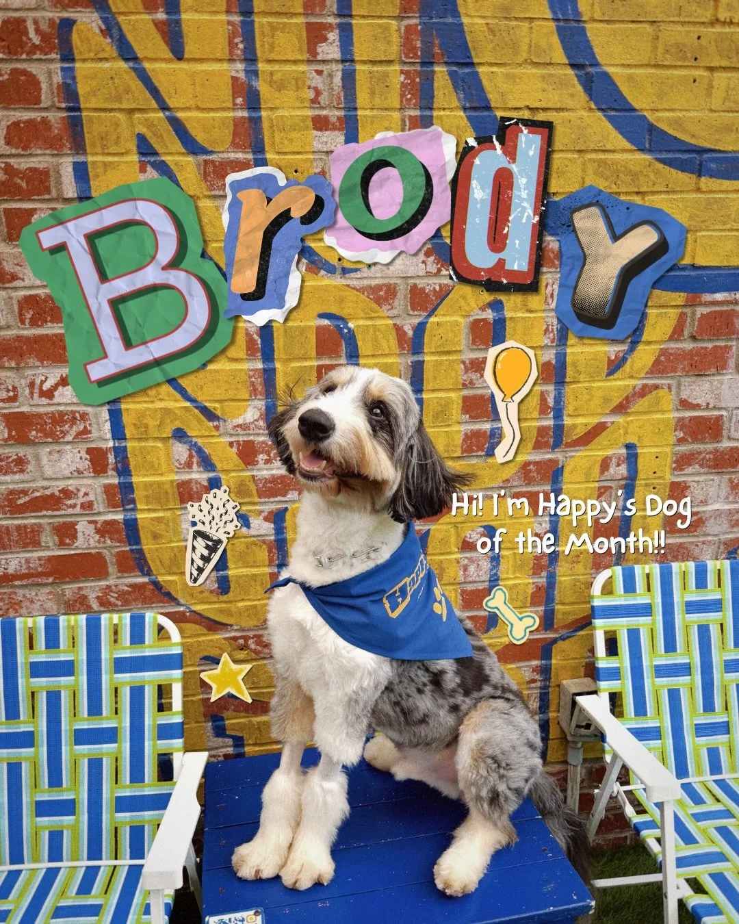 Wssup Brody! 🐶🎂 We&rsquo;re all smiles for our special Dog of the Month who has had a wild year so far! He celebrated his golden birthday (turned 5 on 9/5) and survived a two-story fall after undergoing multiple emergency surgeries. We are so thank