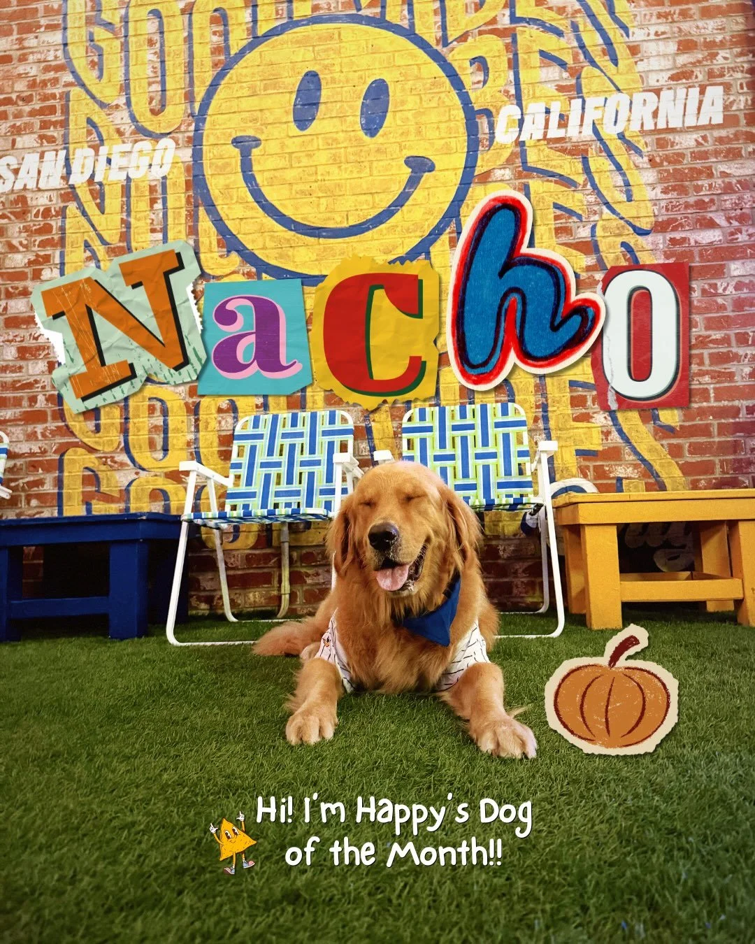 Our dog of the month is NACHO average pup! 🐶🧀 Nacho loves the beach, making friends and wearing new drip. He&rsquo;s a Happy Does regular and probably thinks he works here by now. Not to be cheesy but we love NACHO!! Nacho gets a 1000/10.