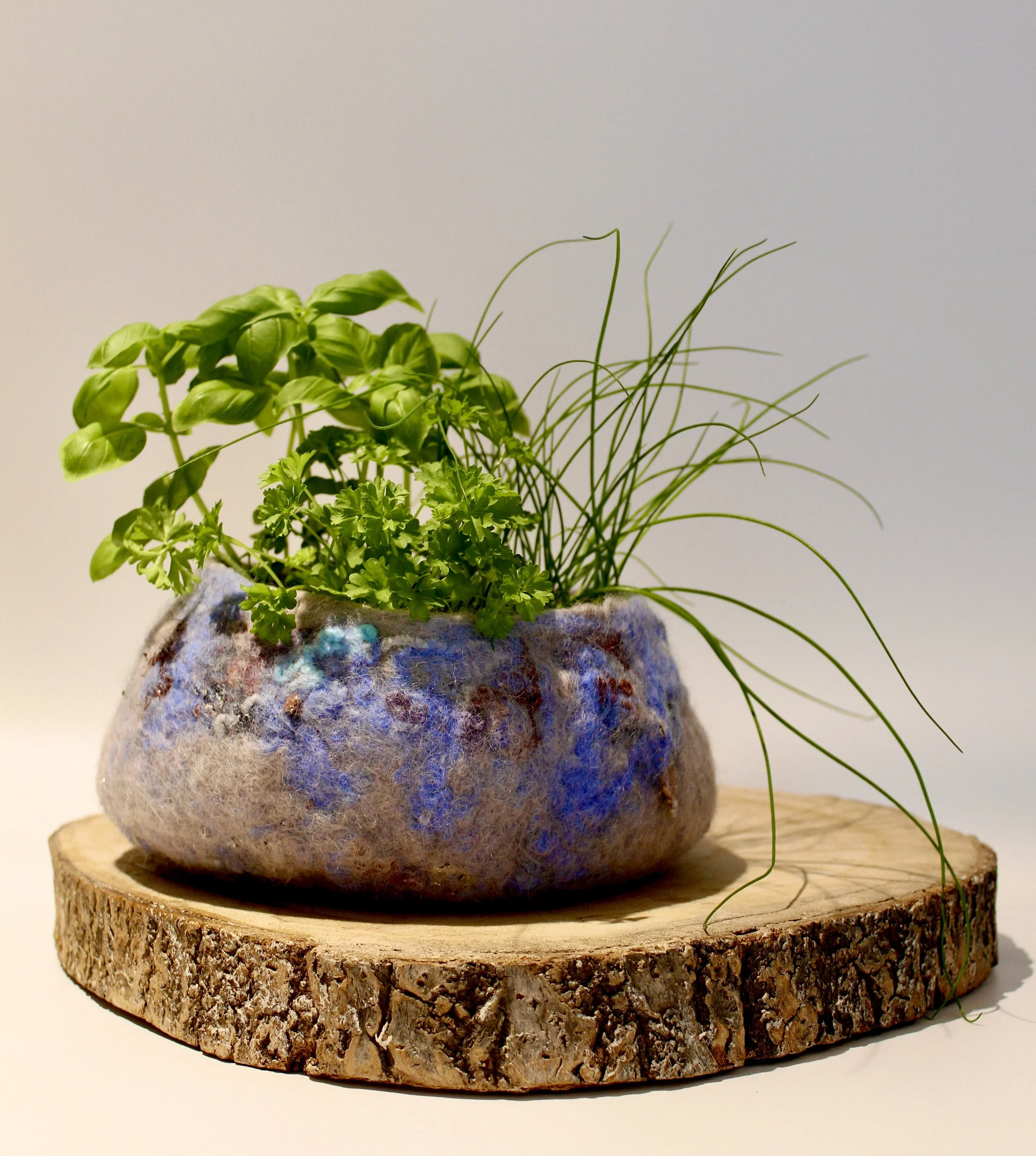 Wet Felted Bowl with plant .jpeg