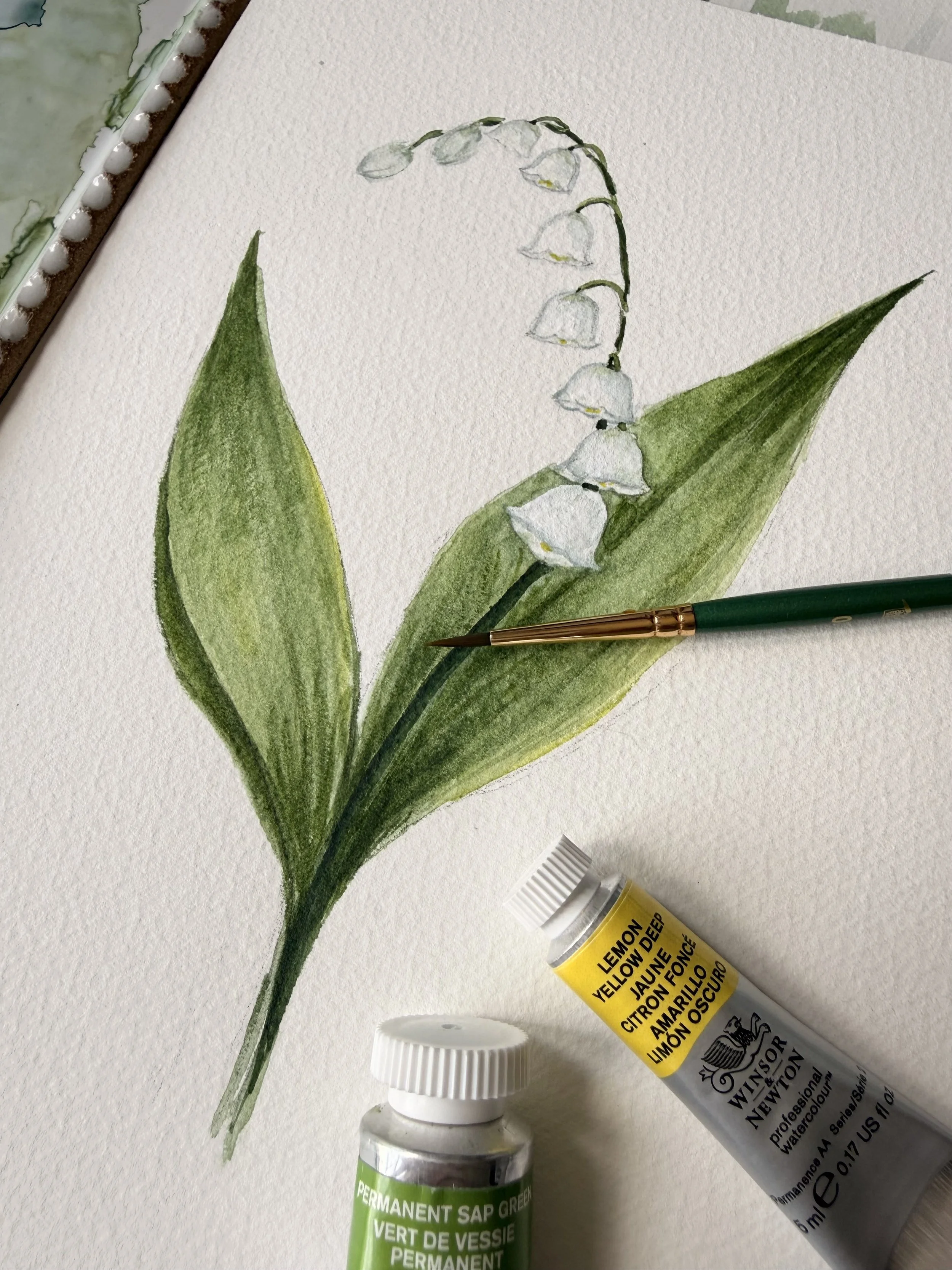 May 23rd Beginner Watercolor Workshop