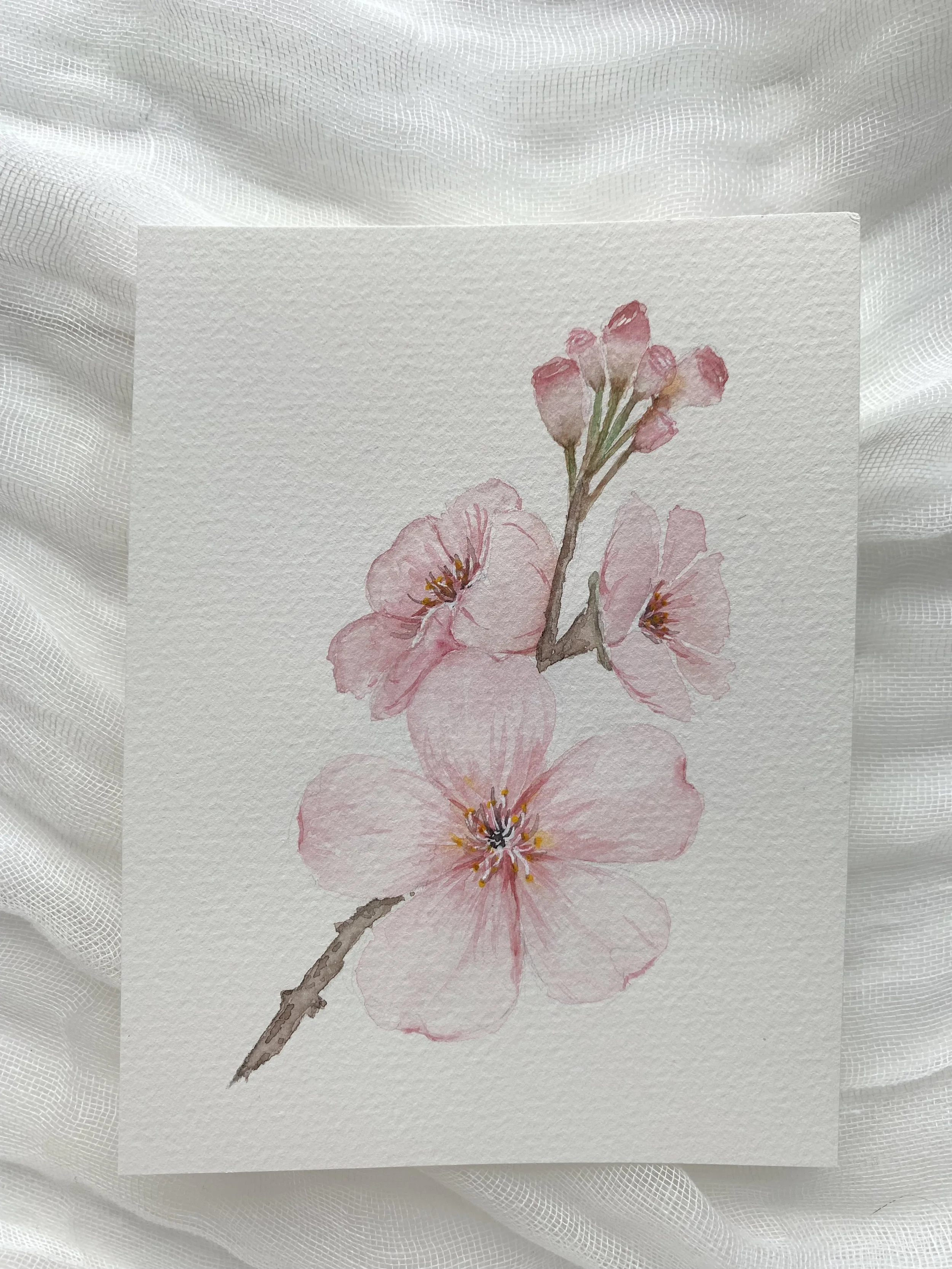 IMG_8970.jpeg (Copy)