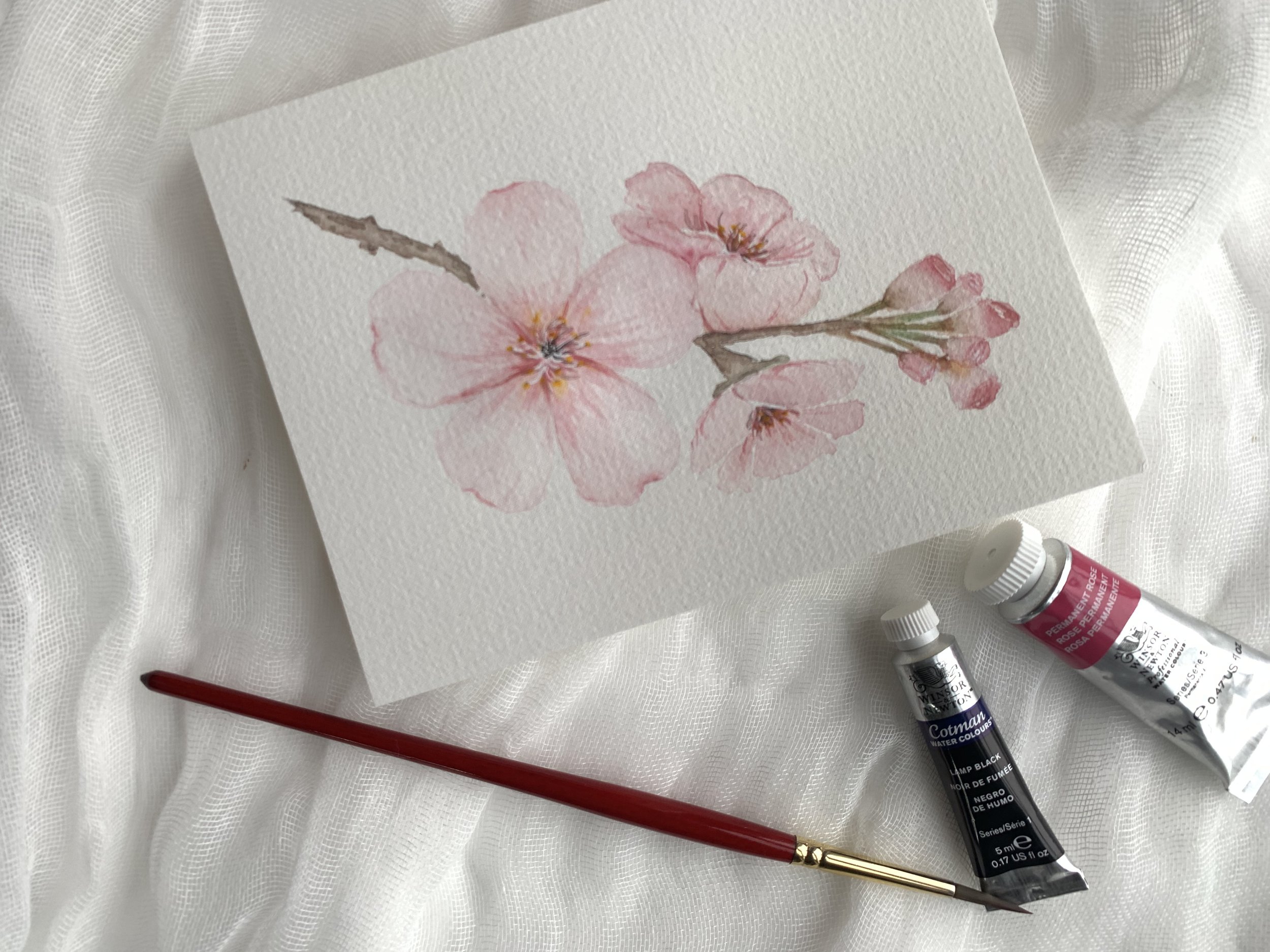 IMG_8967.jpeg (Copy)