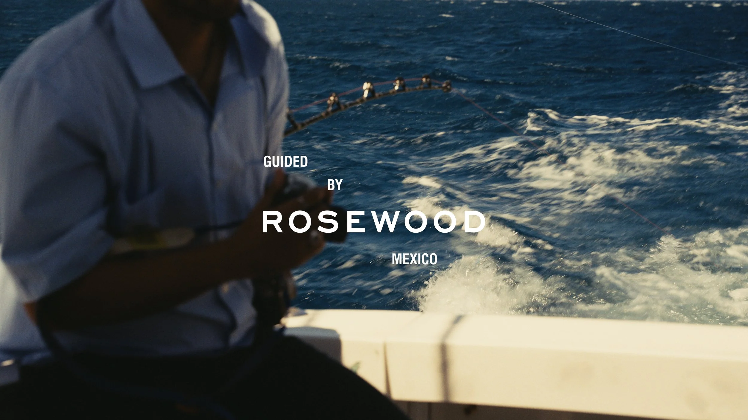 Guided By Rosewood : LVP
