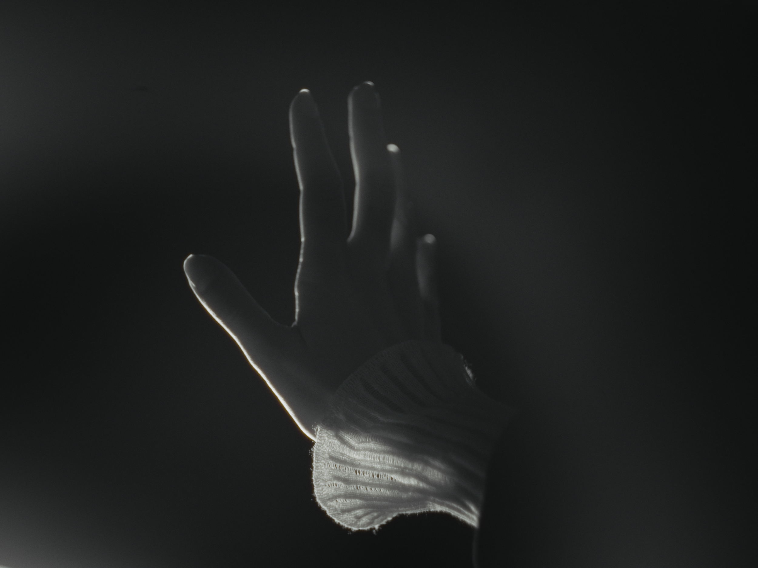 Still 2025-02-26 204932_1.5.1.png