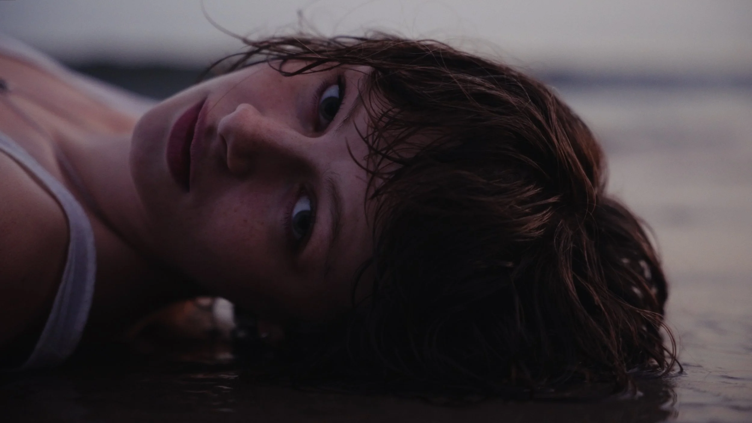 Still 2024-08-29 153208_1.9.1.jpeg