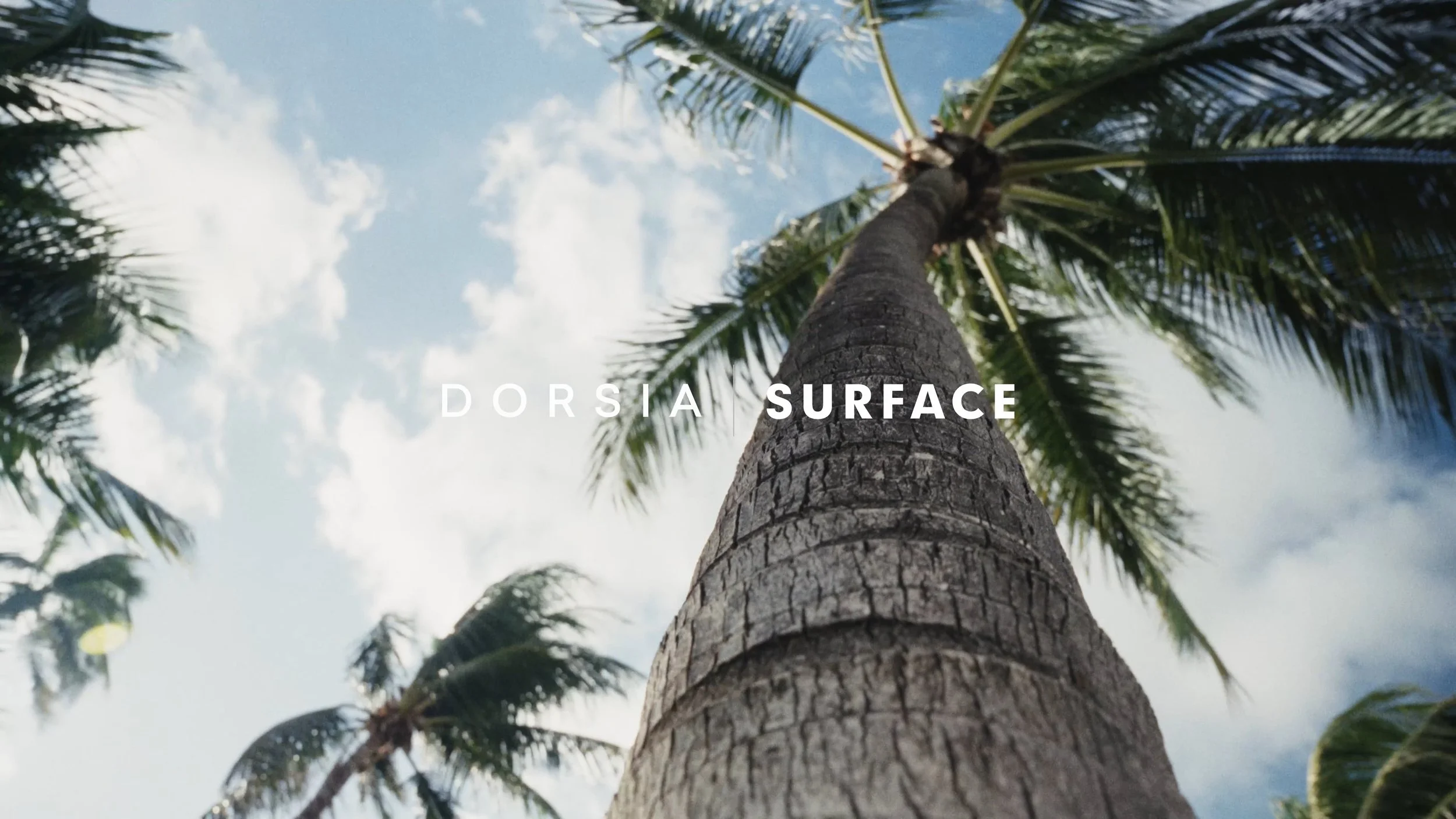 Dorsia | Surface Magazine