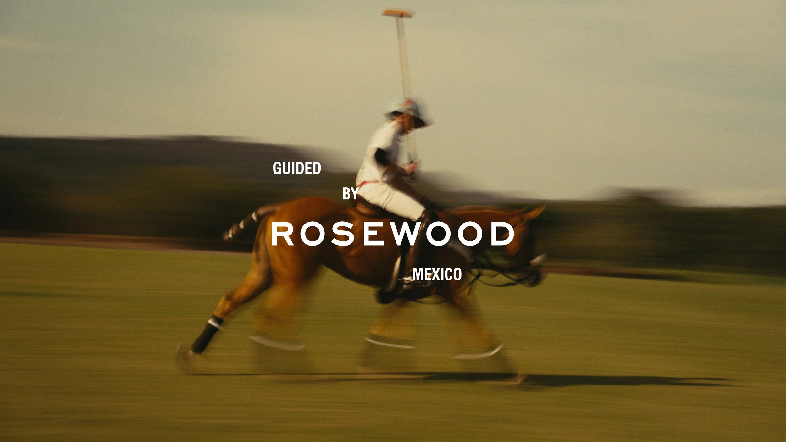 Guided By Rosewood : Mandarina