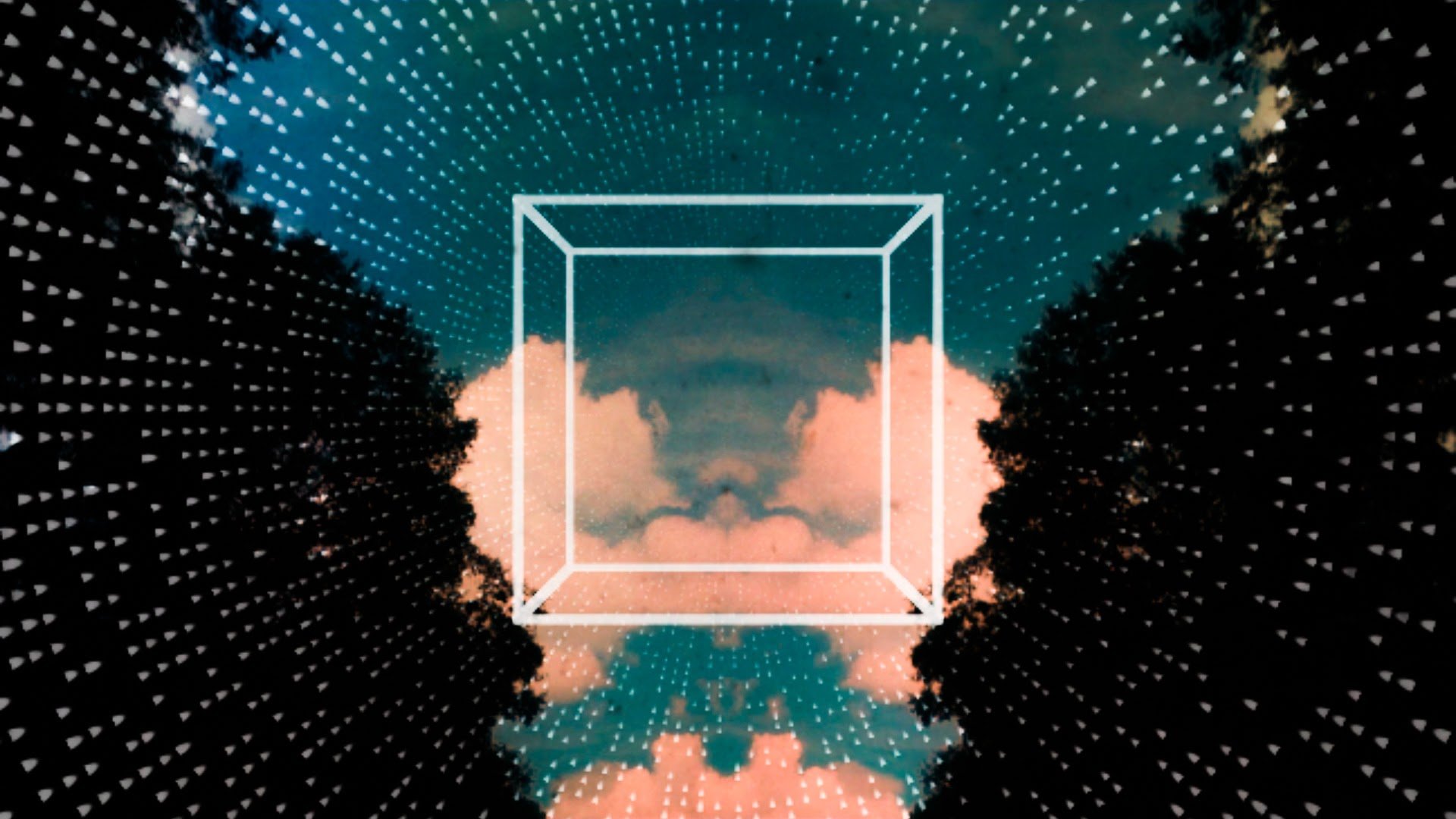 vdmxcap-4.jpg