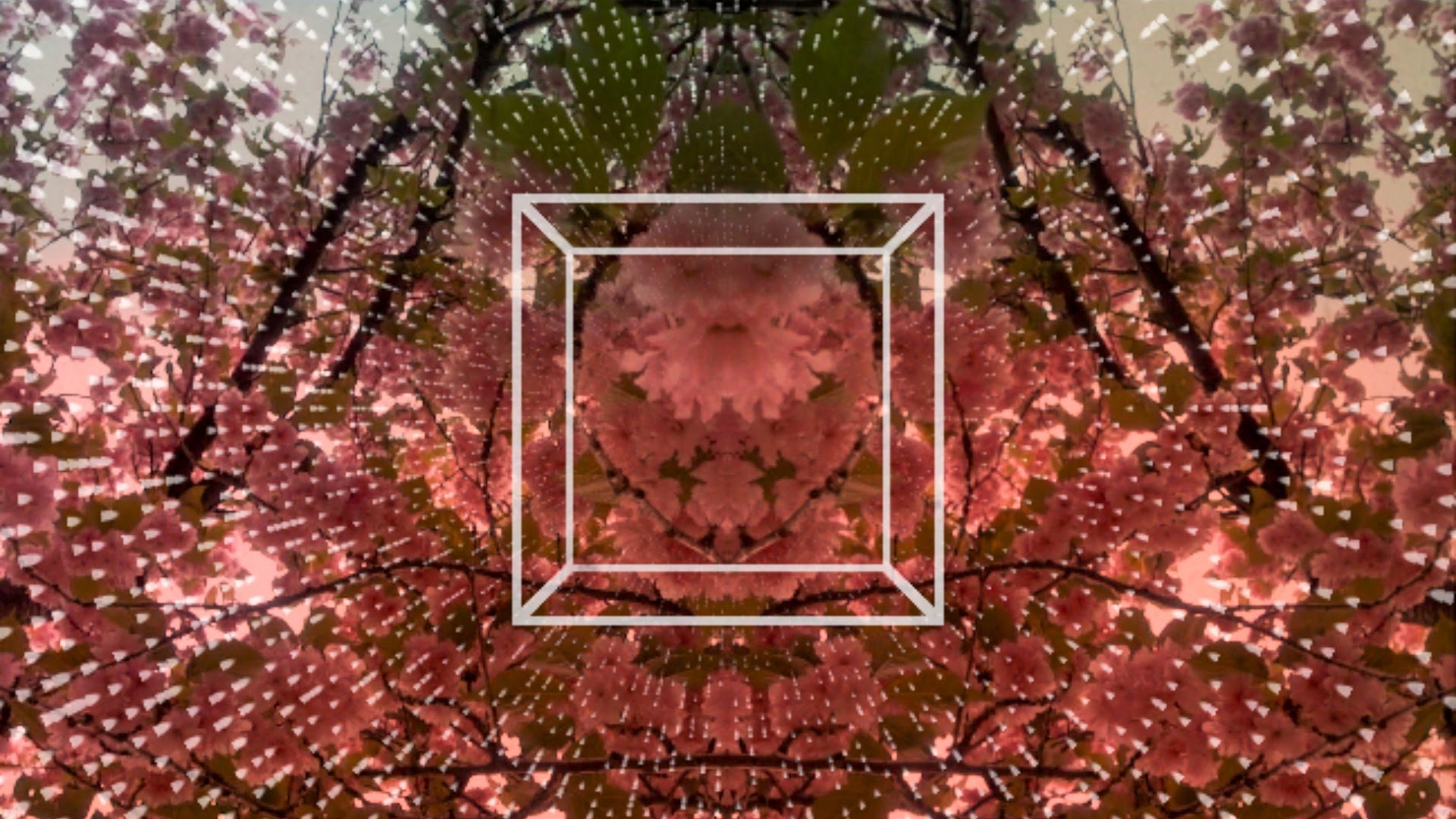 vdmxcap-5.jpg