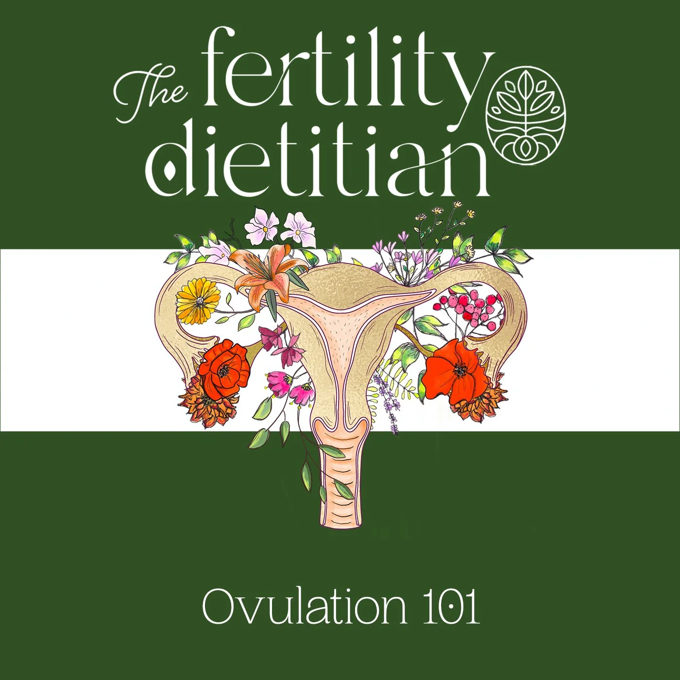 Ovulation 101: What Healthy Ovulation Actually Looks Like (and How to Time It Right) [EP 49]