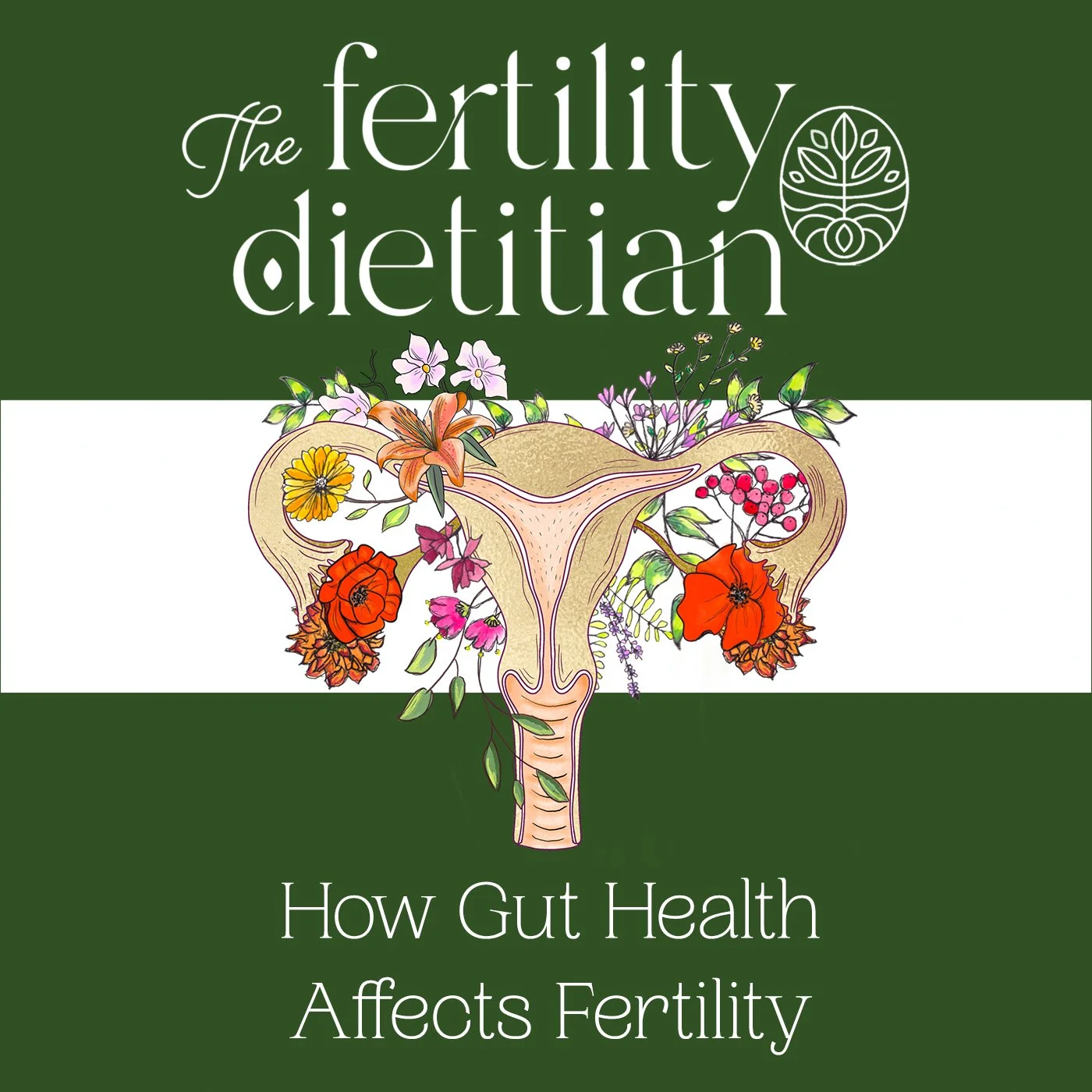 How Gut Health Affects Fertility: A Common Missing Link to Getting Pregnant [EP 60]