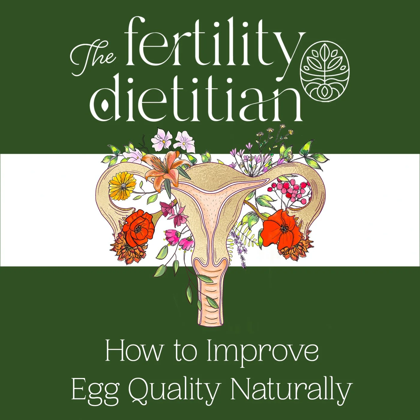 How to Improve Egg Quality Naturally: Habits That Are Aging Your Ovaries Faster After 30 [EP 67]