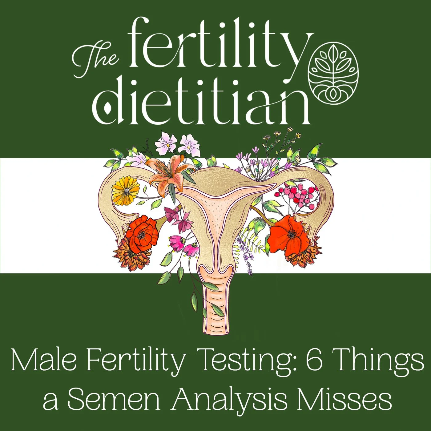Male Fertility Testing: 6 Things a Semen Analysis Misses When You’re Trying to Conceive [EP 77]