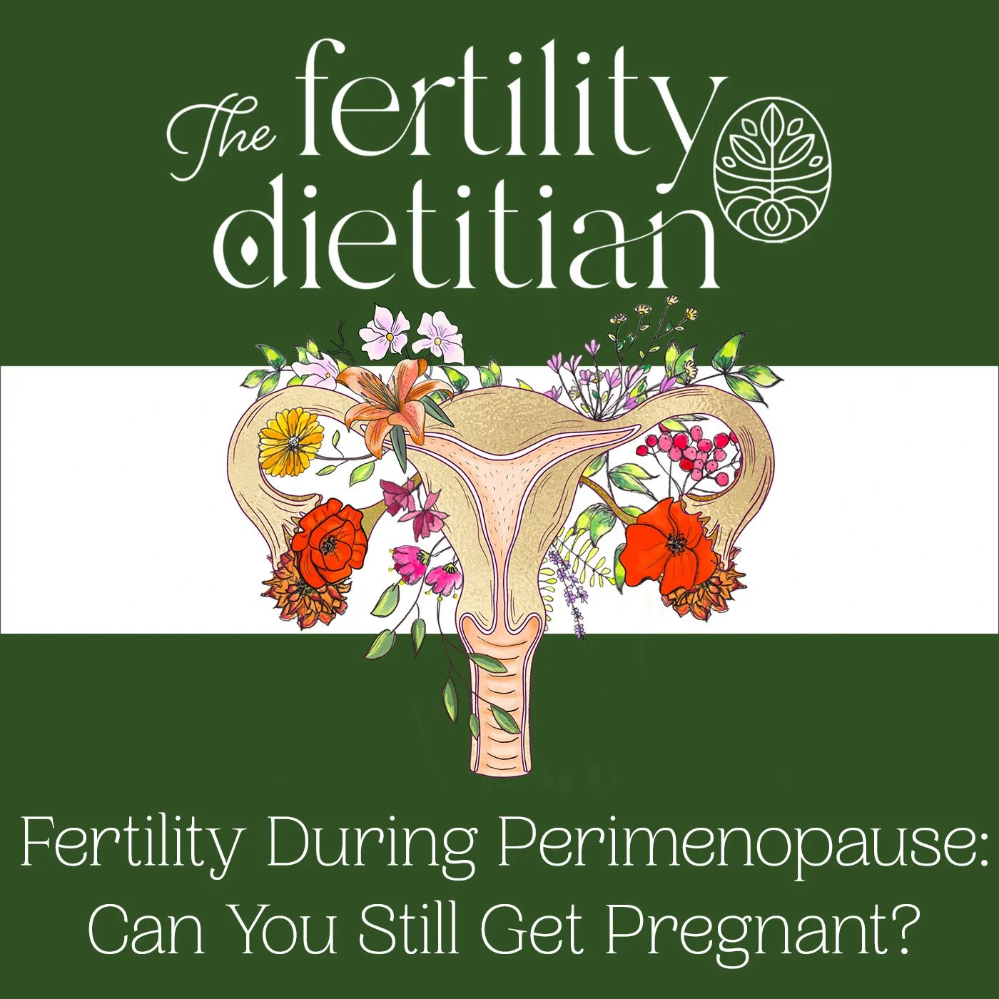 Fertility During Perimenopause: Can You Still Get Pregnant in Your 40s? [EP 82]