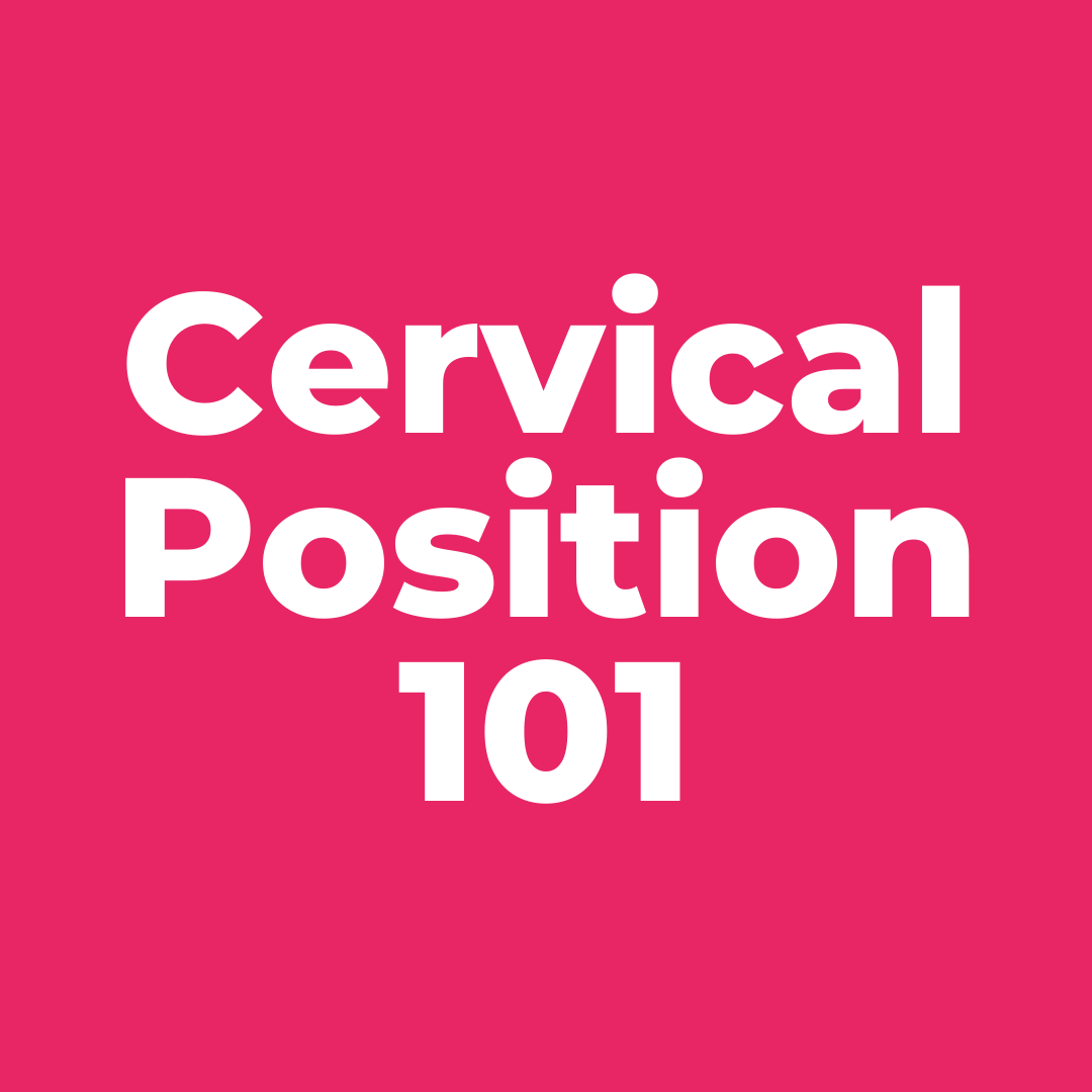 3 - Cervical Position 101 Cover Photo.png