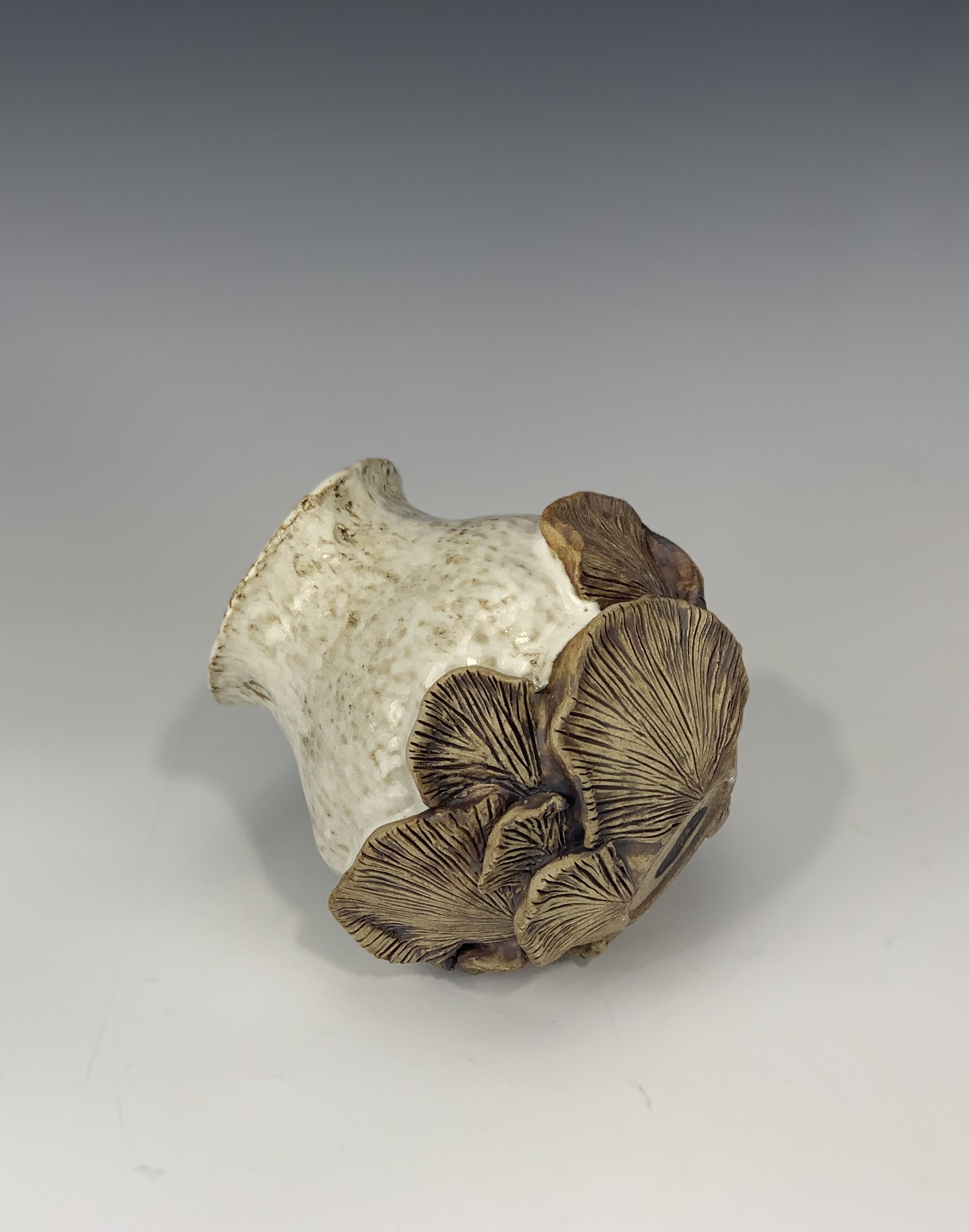 A mushroom with a white cap and brown gills facing sideways on a white background.