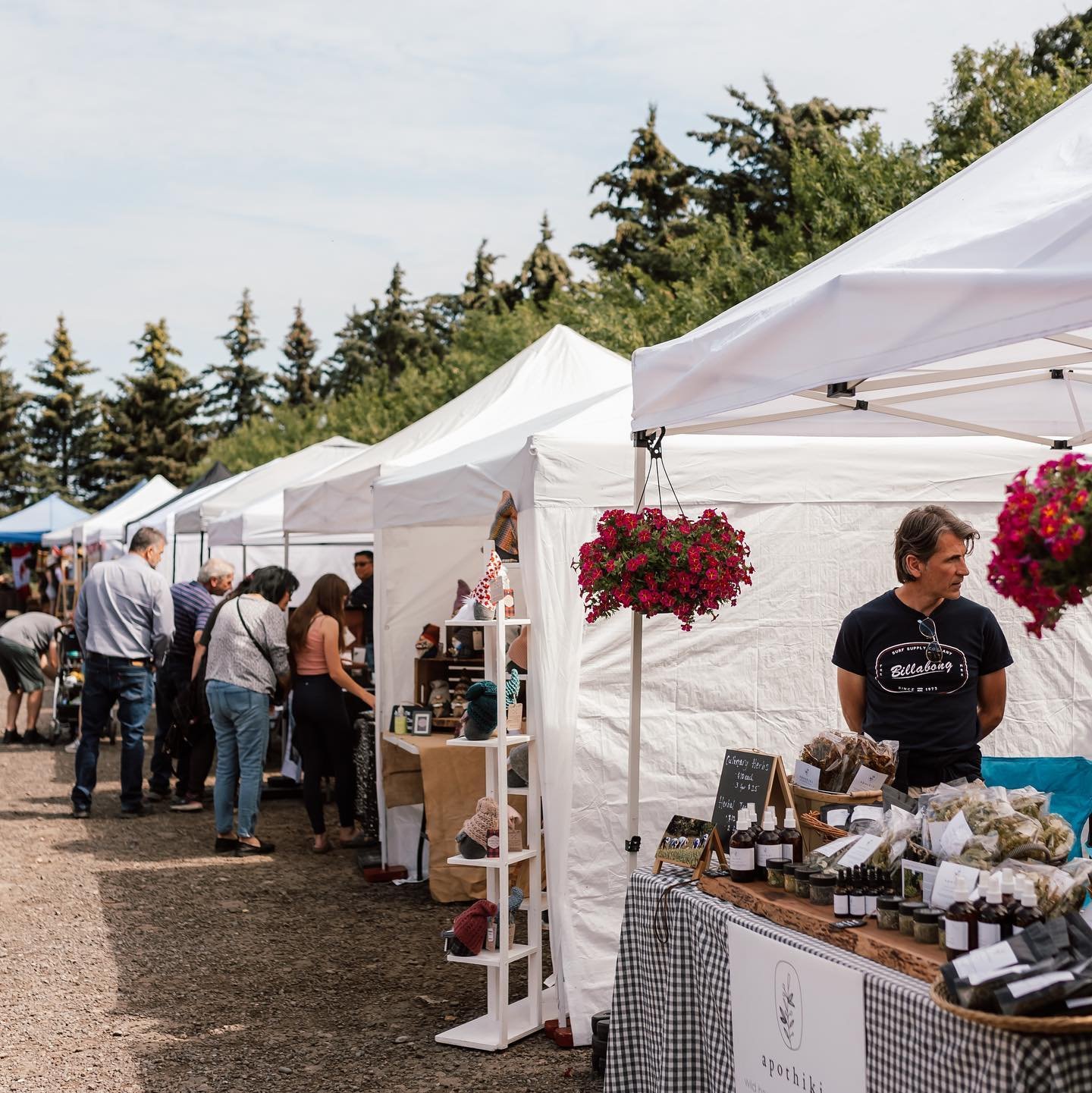 Attention Amazing Vendors!

Check out your inbox. We're so excited to announce we're hosting a 2nd season of Mini Markets at The Saskatoon Farm.