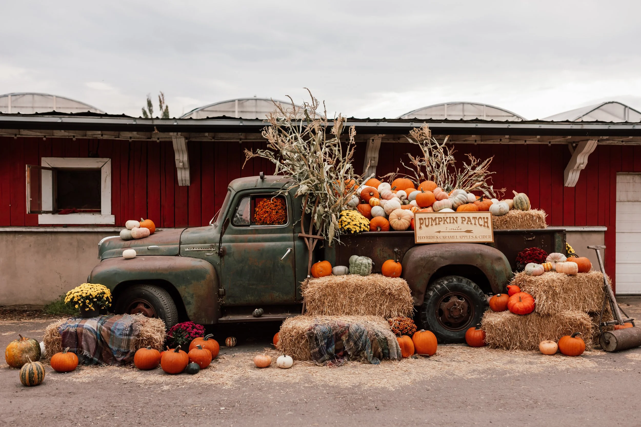 Harvest Market at the Saskatoon Farm