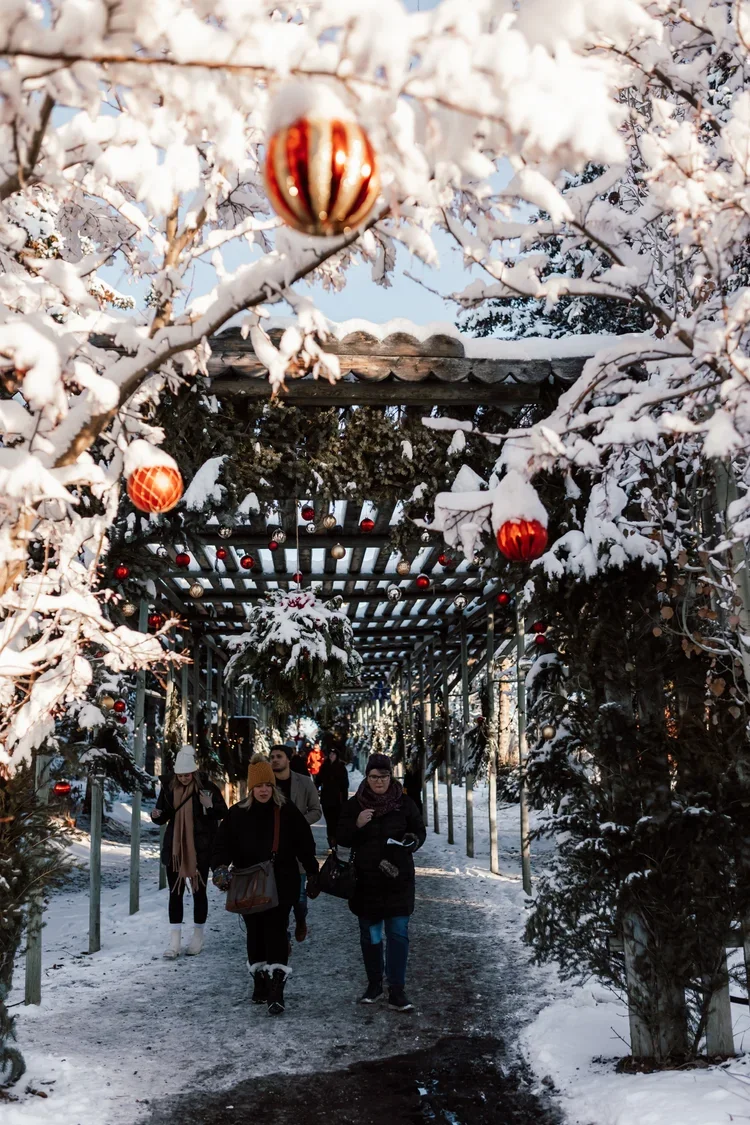 10th Annual Christmas Market at the Saskatoon Farm