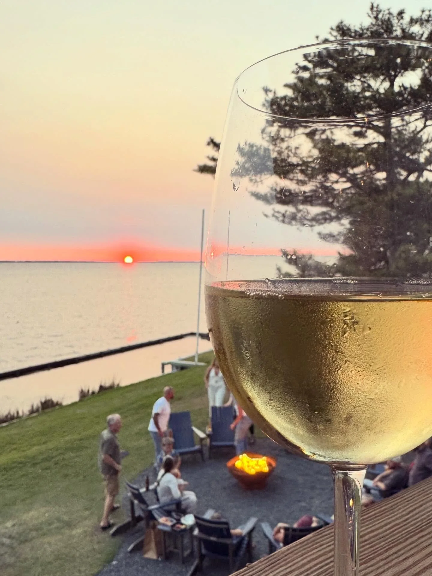 We don&rsquo;t know about you, but we can&rsquo;t wait &lsquo;til we&rsquo;re enjoying wine out on the deck and in the yard again! In the meantime, you can enjoy a bright spot in the doldrums of winter with half price bottles of wine every Wednesday 