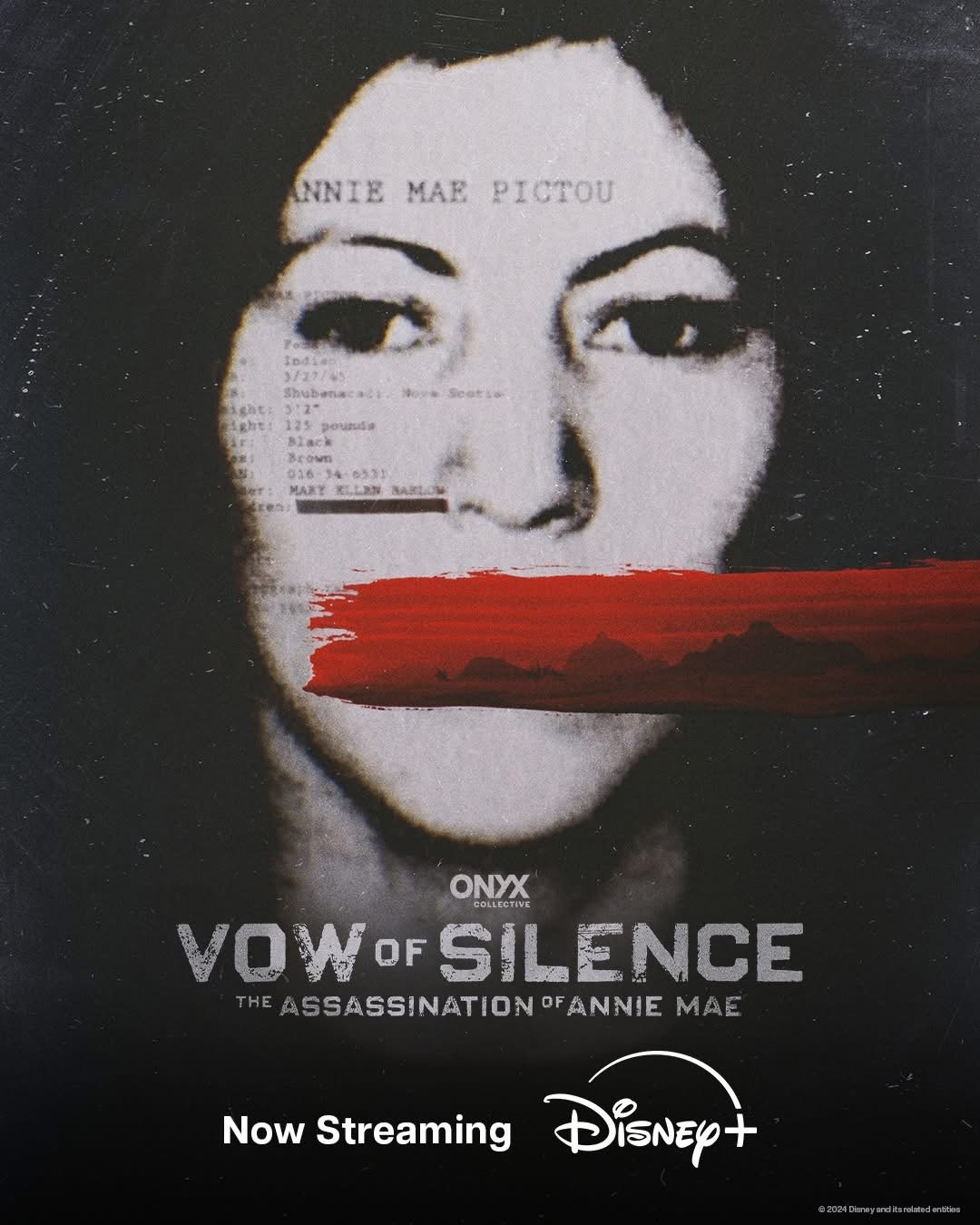 VOW OF SILENCE: THE ASSASSINATION OF ANNIE MAE