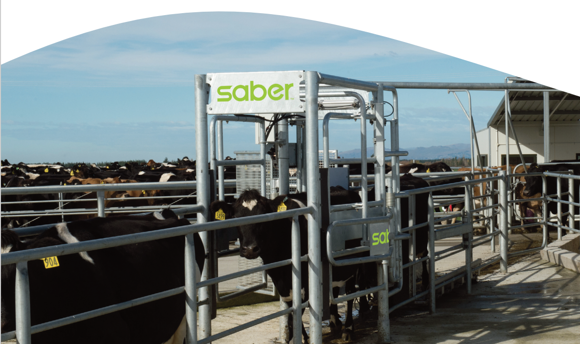 Saber Product Branding 2.png