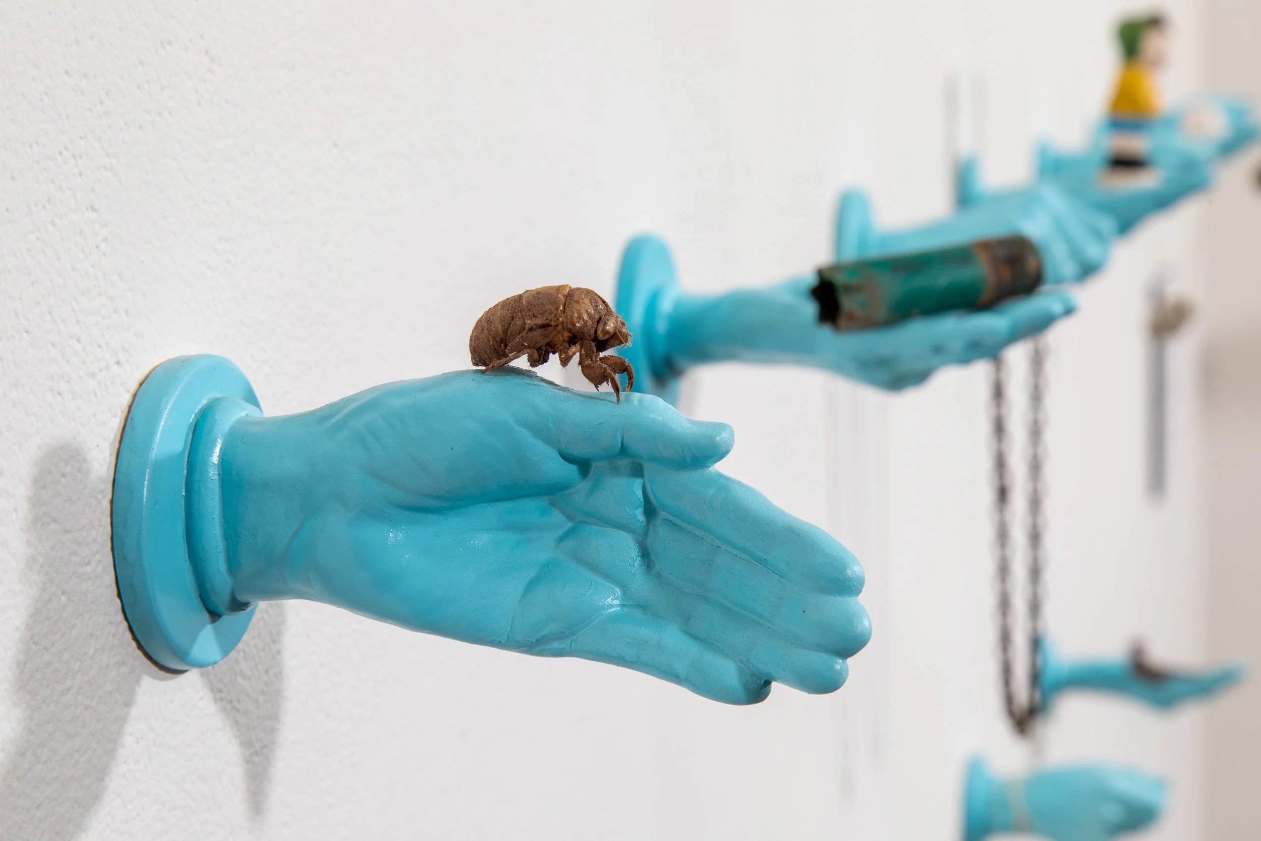 Haiku No.1 (detail - cicada)