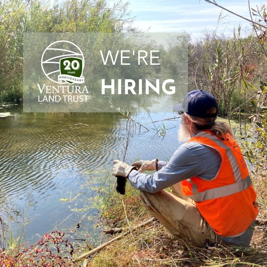 VLT is looking for a Land Steward!

The VLT Land Steward will work in the field, managing contracts that monitor and report on trash accumulations in sections of the Ventura River, Calleguas Creek, and Malibu Creek, and facilitating watershed clean-u