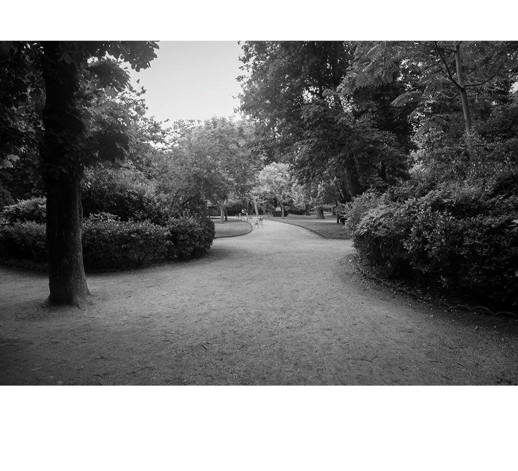 Park-in-Paris.jpg