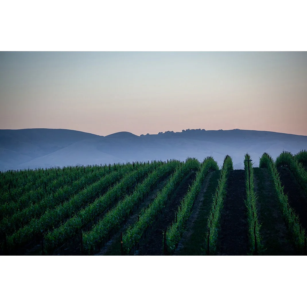 Donum Estate