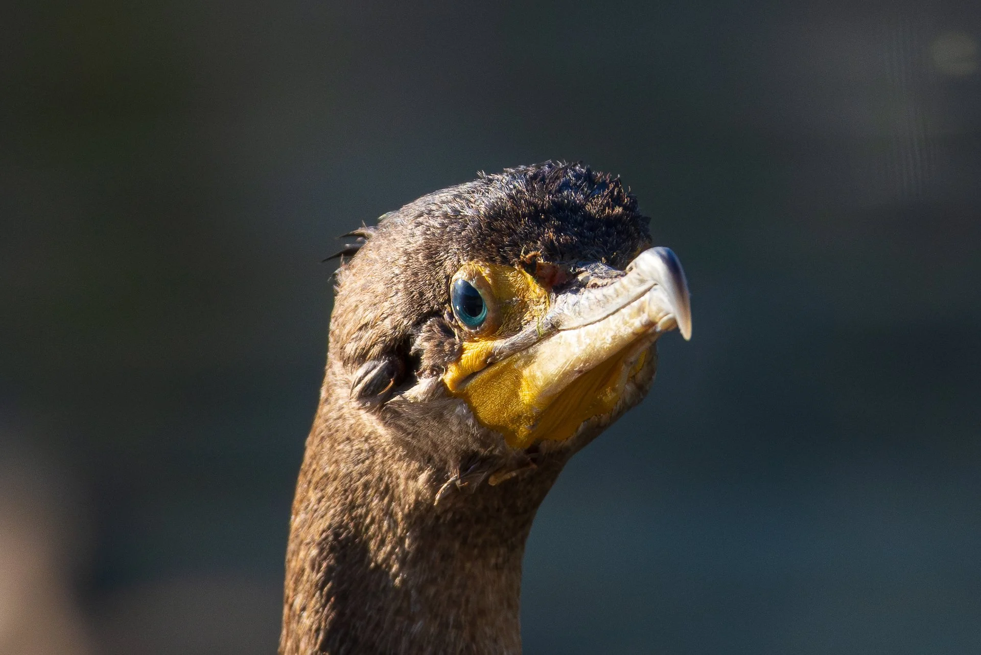 Late September photo walk