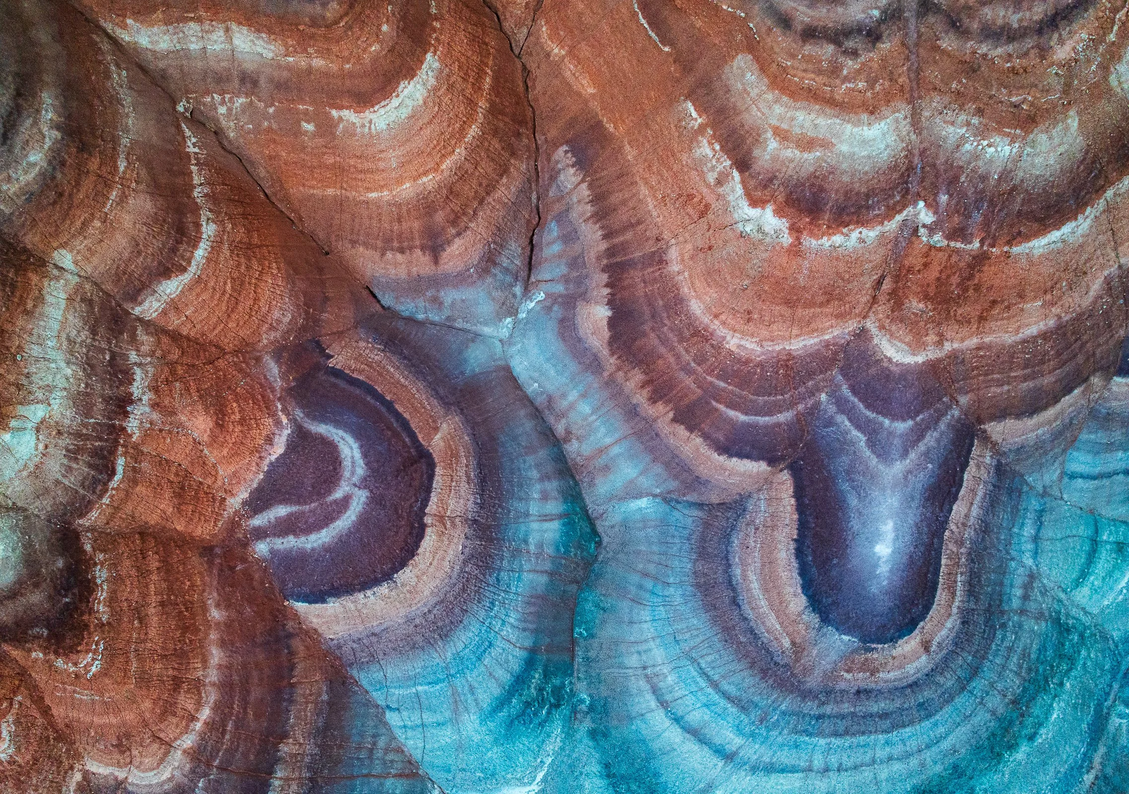 February Competition Results