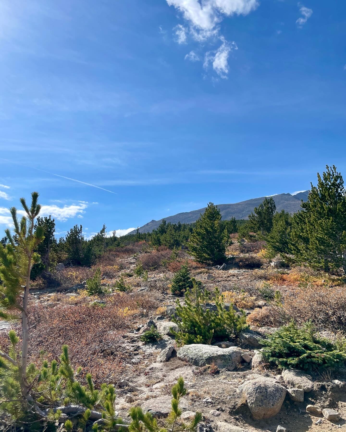 We journeyed from the foothills to the alpine tundra, climbing from 9,000ft to 11,500ft. The mountains felt like a mythical realm, with stories etched in ancient rock, pouring through the waterways. We walk and discover our soles, standing again on t