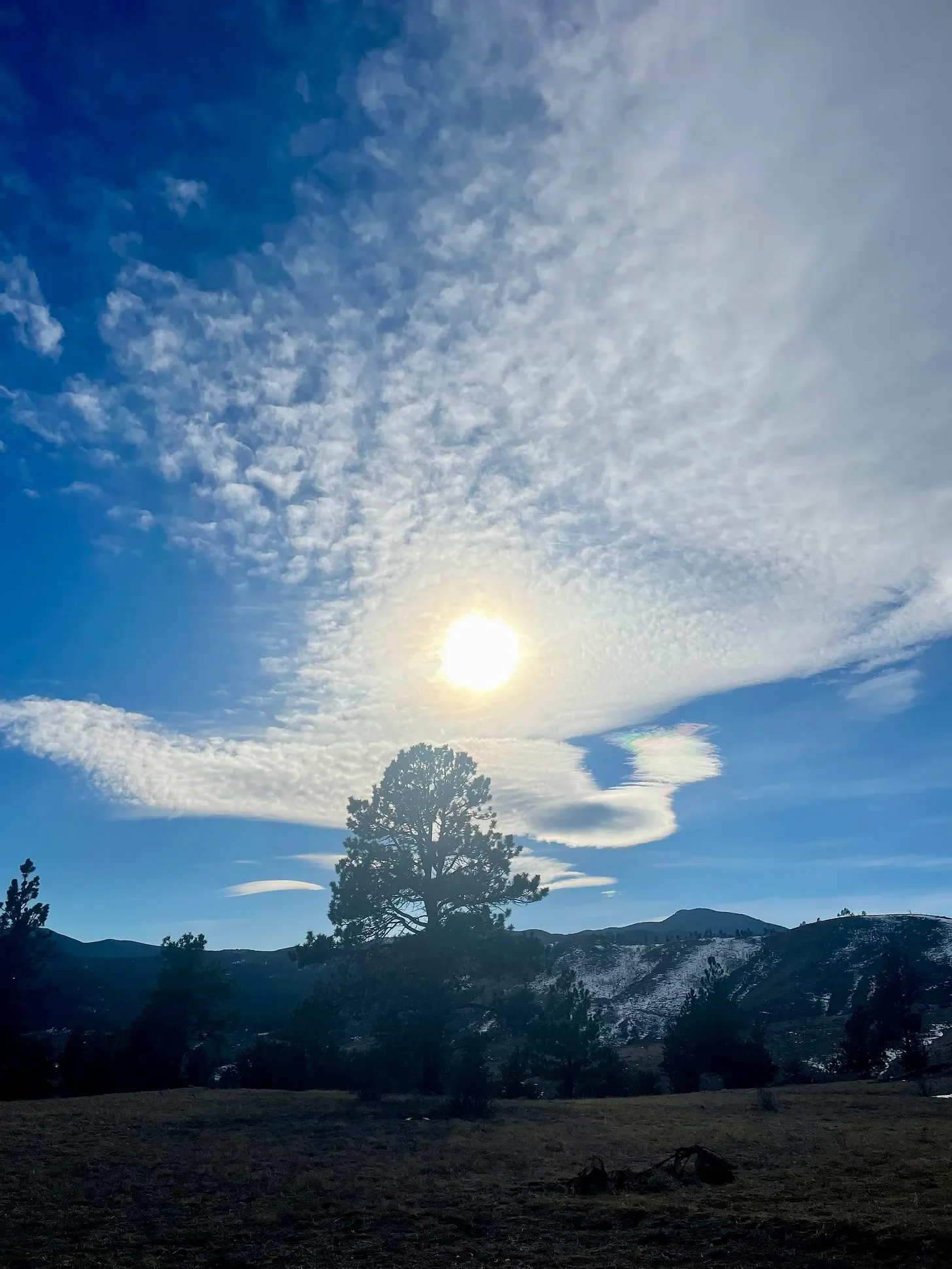 For the Love of Winter