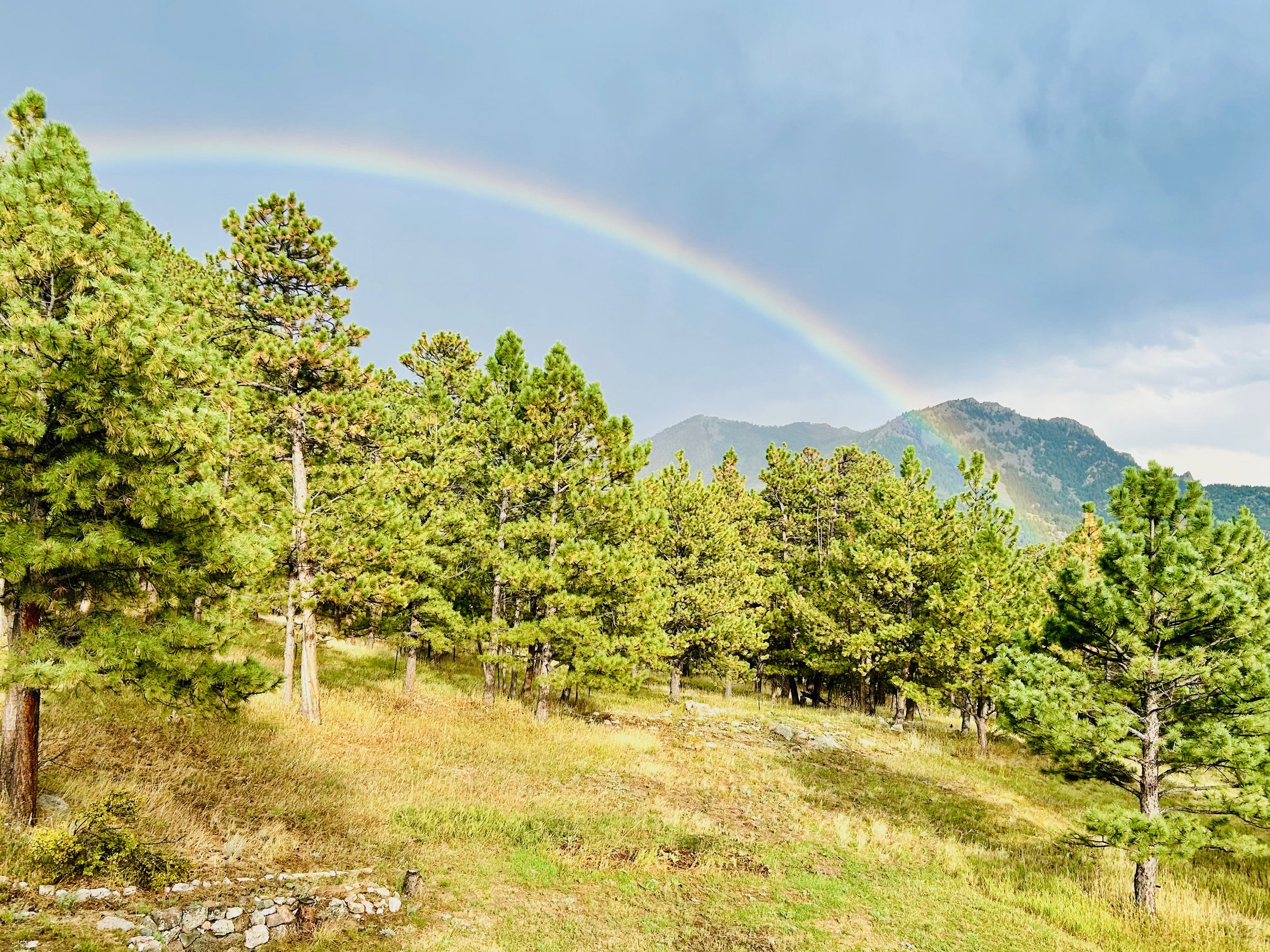 Evening rainbow at the Somaraja Clinic