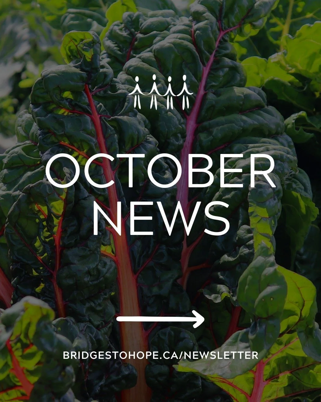 Our October newsletter is out now! ✨ 

In this issue, we discuss Food Banks Canada&rsquo;s 2025 Poverty Report Card, introduce you to our new Volunteer Coordinator, share some programming updates, and send some well-deserved thanks to our some of our