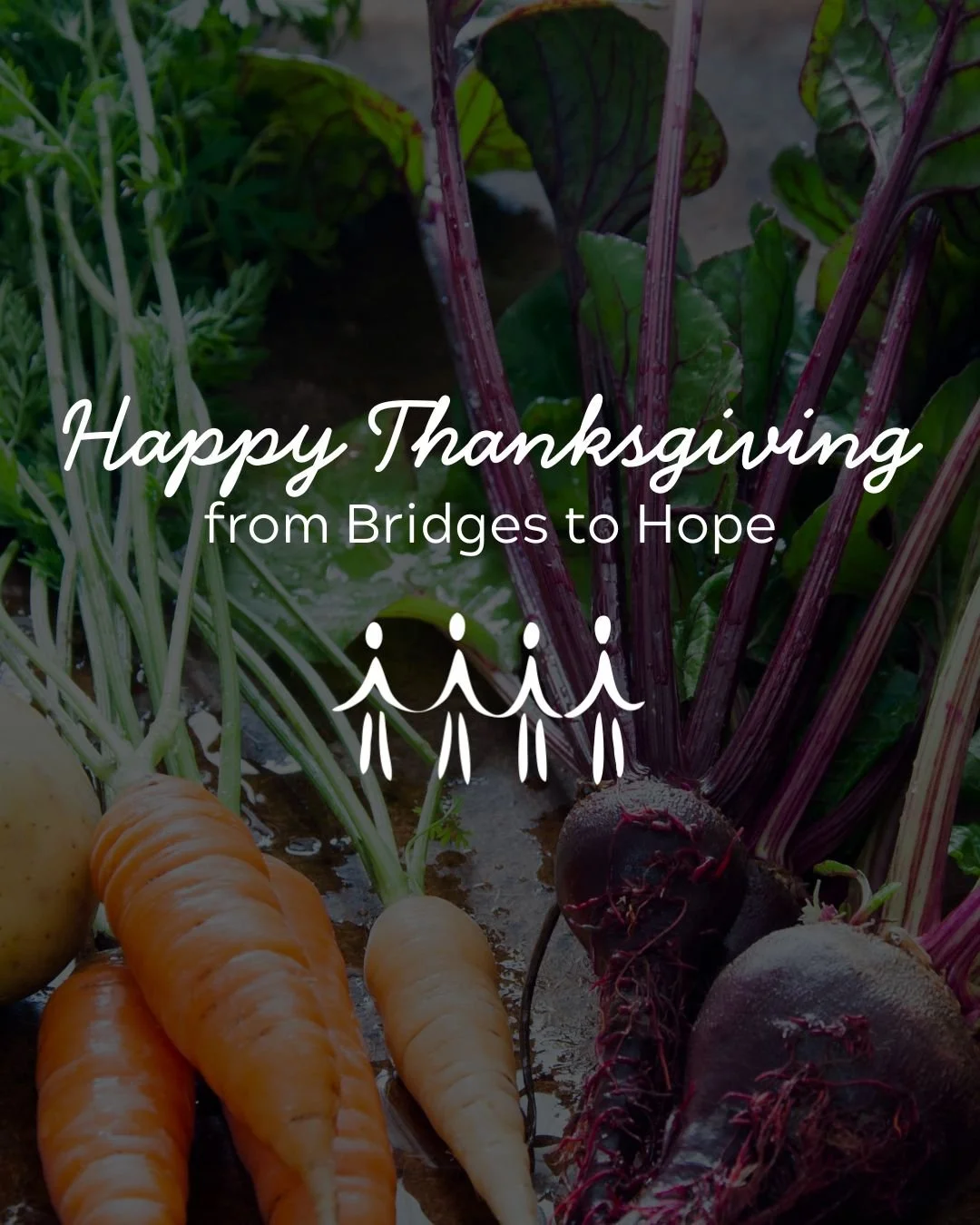 This Thanksgiving, we're feeling so grateful to live and work in a community where our neighbours look out for one another and share what they have.

In the days and weeks leading up to Thanksgiving, our pantry saw an increase in food donations: loca
