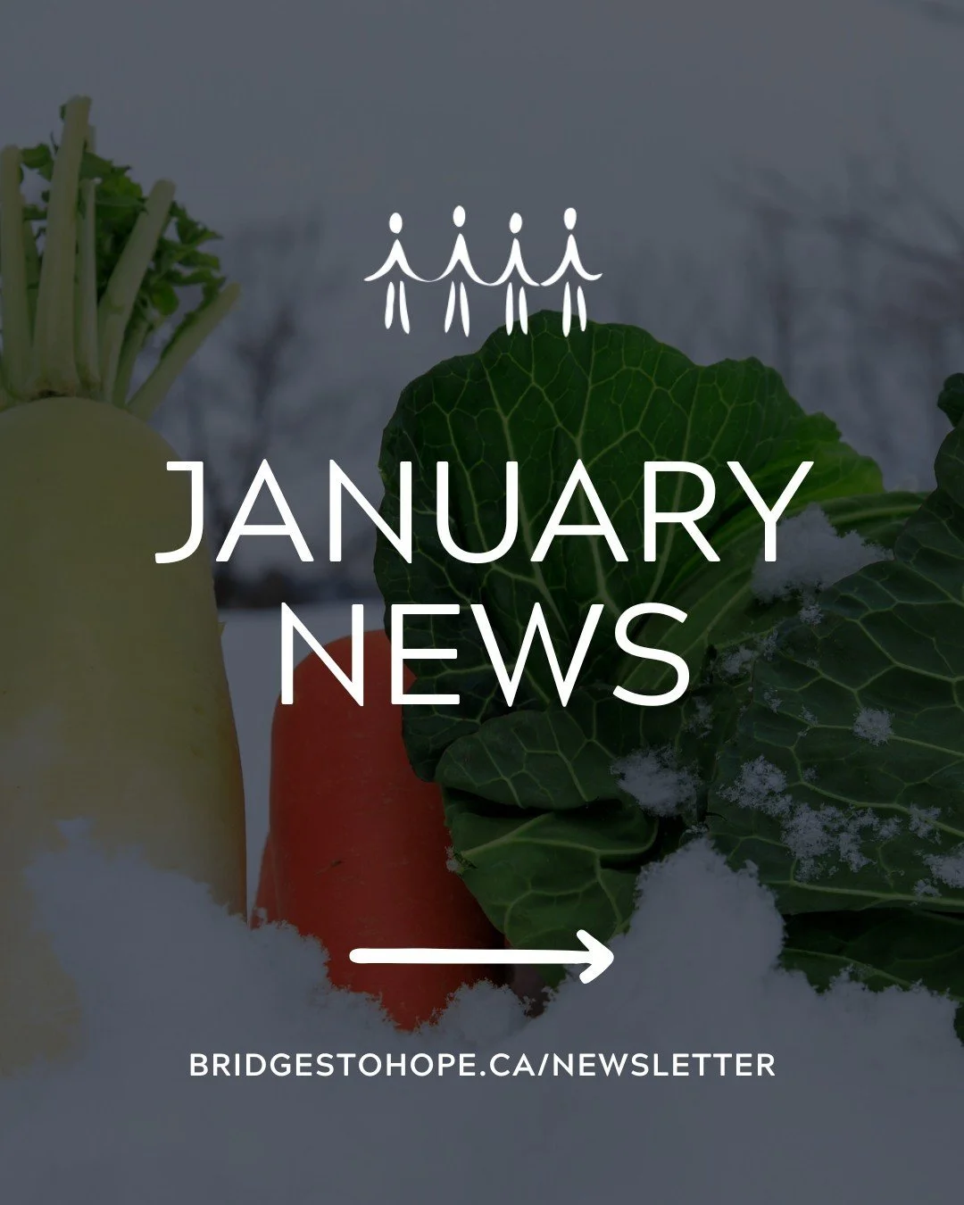 ✨💙 Our January newsletter is out now! See 2025 in review, the impact we made together and many more. 👇

In this issue of our newsletter, you&rsquo;ll find:

1. Your Impact in 2025
2. Programming Statistics
3. Miracle on Cookstown Road
4. Food Pantr