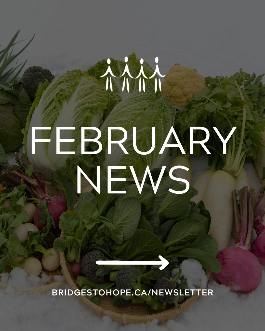 🌟🫶 Our February newsletter is out now! In this issue of our newsletter, you&rsquo;ll find:

1. Your Impact in January 2026
2. Food Bank Feedback Survey
3. Food Pantry Wishlist
4. CCSNL Information Session
5. Volunteer Spotlight
6. Volunteer Recruit