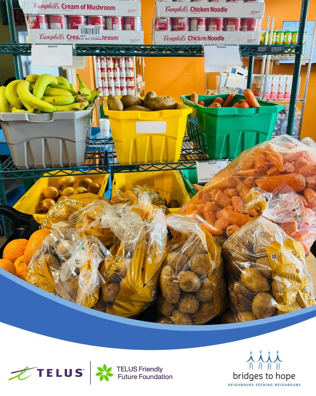 🥕🍎 Fresh, healthy food makes all the difference. And thanks to the @friendlyfuturefoundation, we can continue putting more of it on our neighbours&rsquo; tables. 

Their $5,000 contribution is bringing nourishment, comfort, and hope to thousands of