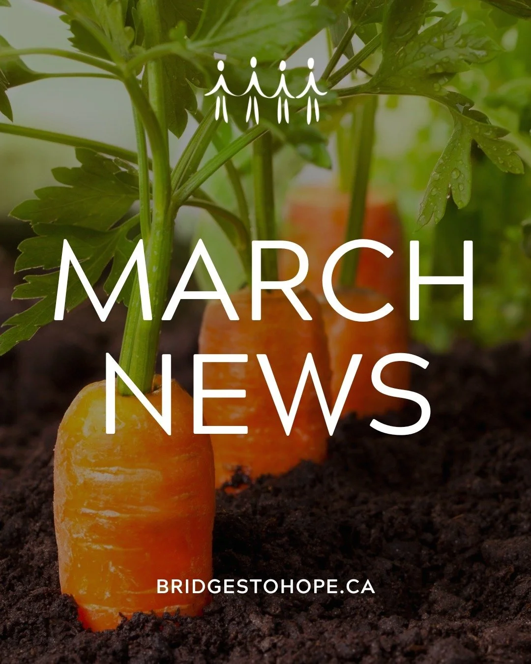 🌟🫶 Our February newsletter is here!

Take a few minutes to see what&rsquo;s been happening at Bridges to Hope. In this month&rsquo;s issue:

🥕 Your Impact in February 2026
🥕 Food Bank Feedback Survey
🥕 March Food Pantry Wishlist
🥕 Downtown Burg