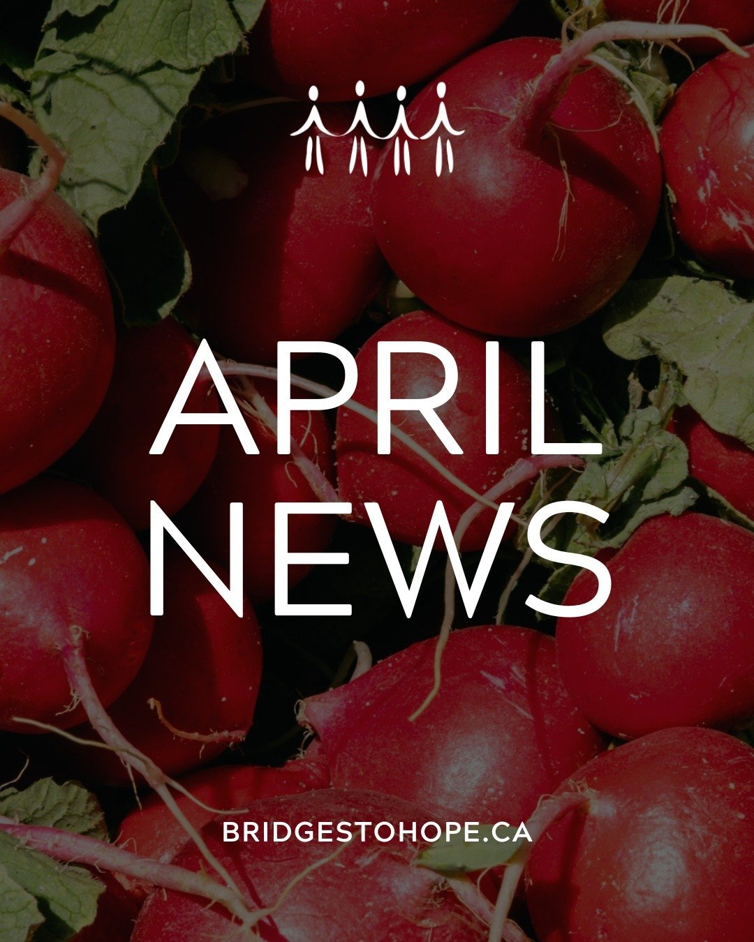 Hey Neighbours, Our April Newsletter is out!! ✨👋

Take a look at the latest news at Bridges to Hope. In this issue:

🫜 Your Impact in March
🫜 Menstrual Equity Fund
🫜 We're Hiring: Admin &amp; Records
🫜 Food Bank Feedback Survey
🫜 March Food Pan