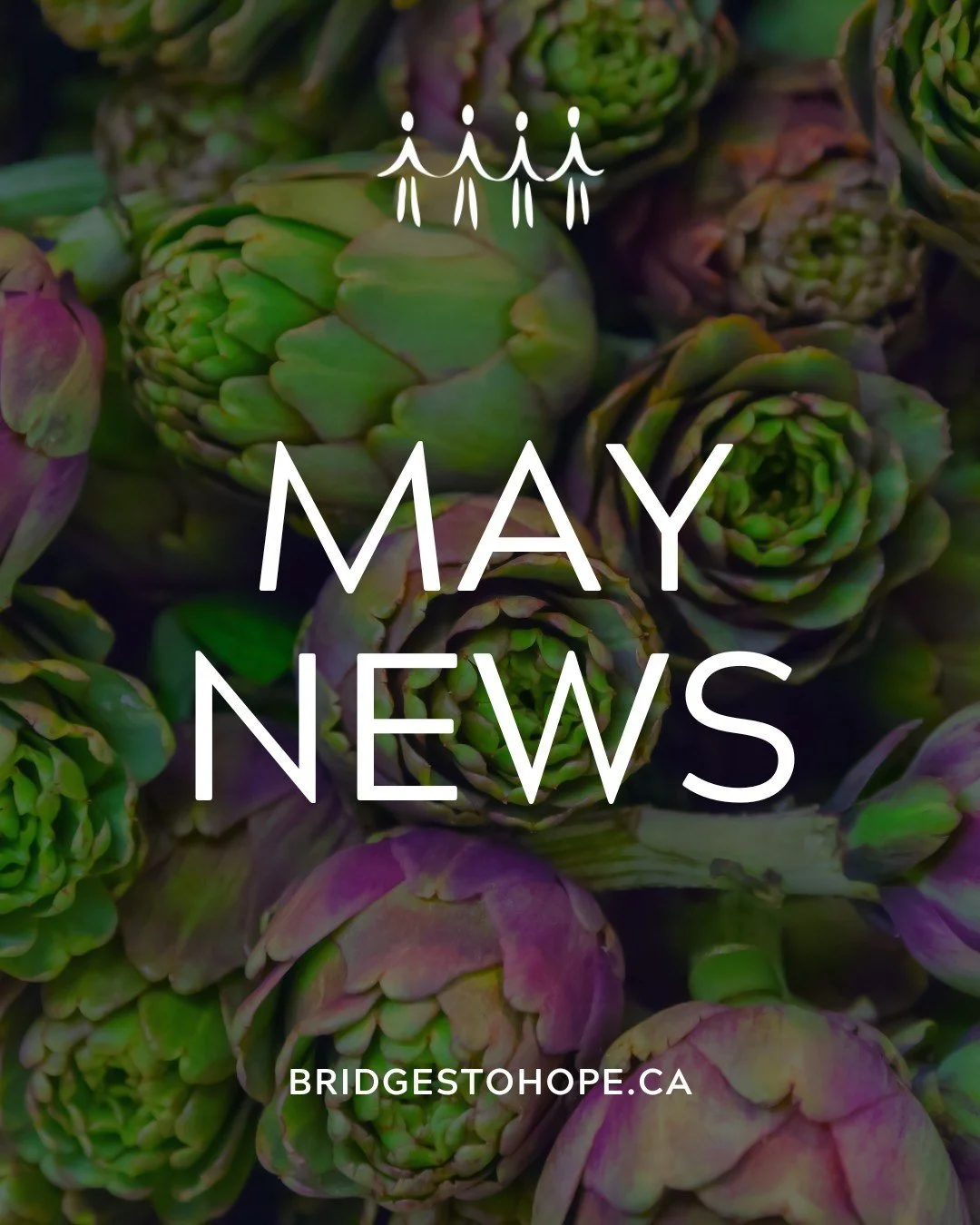 Hey neighbours, our May newsletter is out! ✨

🫐 Your Impact in April
🫐 Standards of Excellence Accreditation
🫐 National Volunteer Week &amp; Awards
🫐 May Food Pantry Wishlist
🫐 Join our Board of Directors
🫐 Volunteer Drivers/Passengers Needed
?