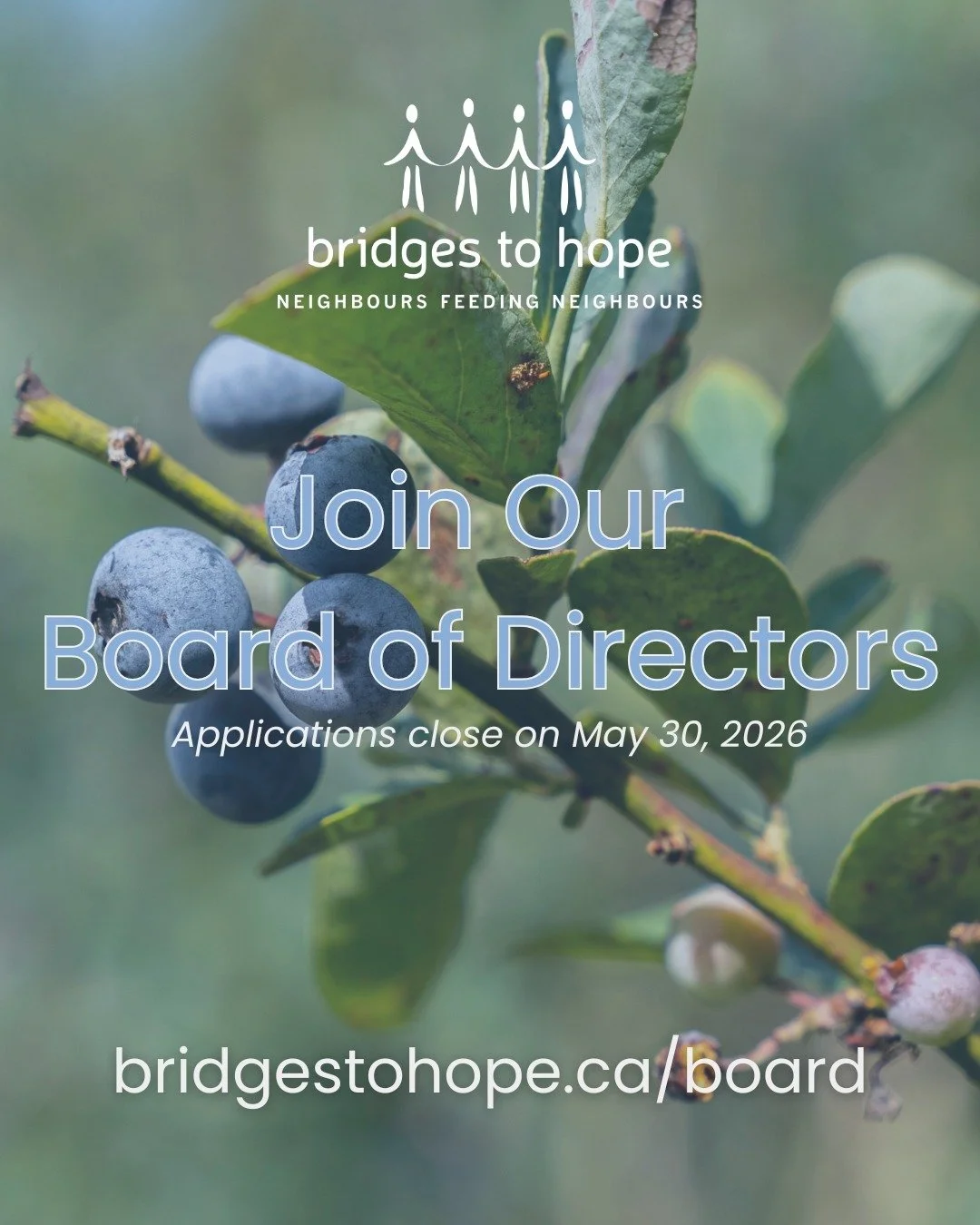 Join our Board of Directors!

Bridges to Hope is currently recruiting 4 Directors to serve on its Board. The Bridges to Hope Board of Directors is responsible for the governance, financial oversight, and strategic direction of our organization. Membe