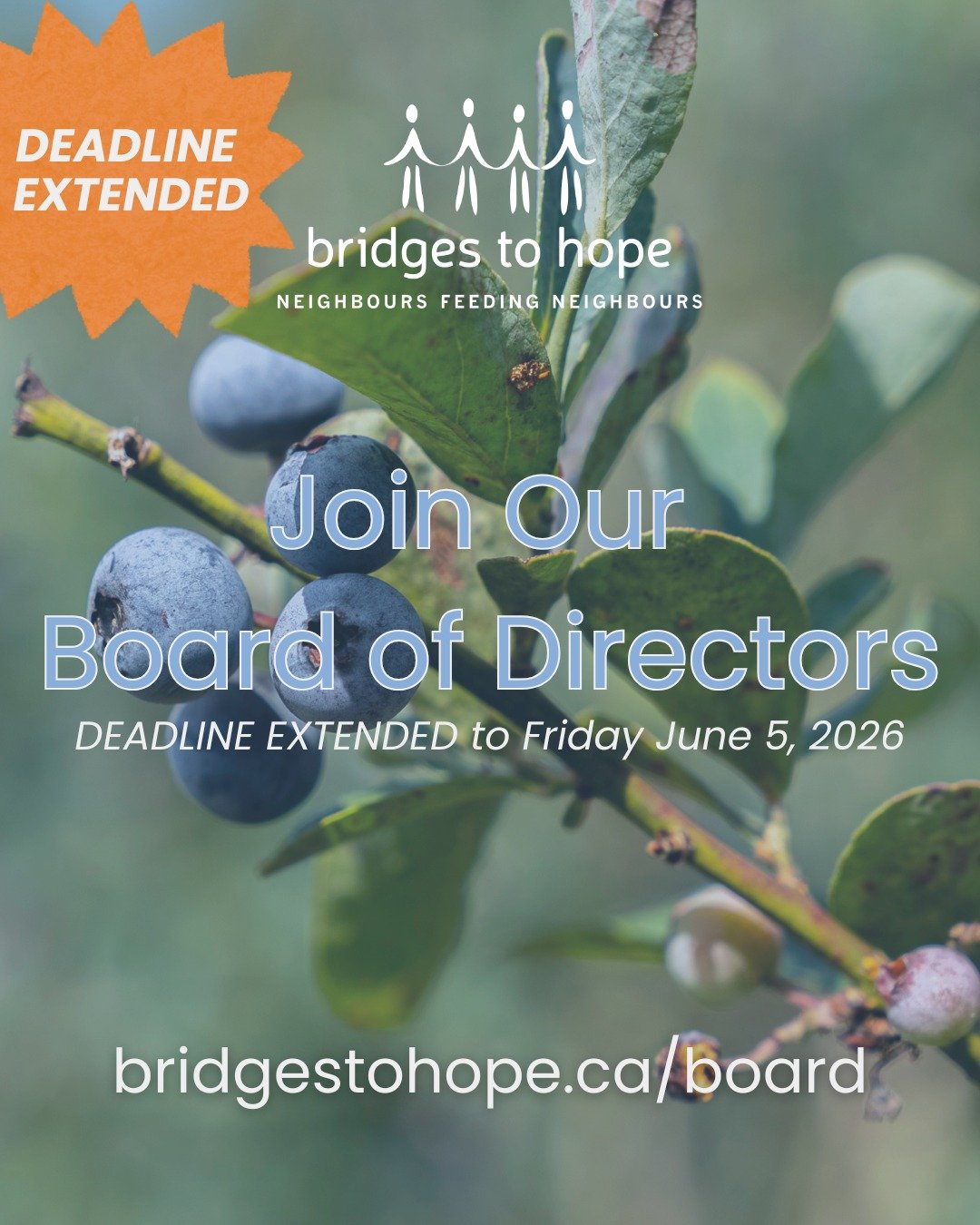 DEADLINE EXTENDED - Join our Board of Directors!
 
Bridges to Hope is currently recruiting 4 Directors to serve on its Board. The Bridges to Hope Board of Directors is responsible for the governance, financial oversight, and strategic direction of ou